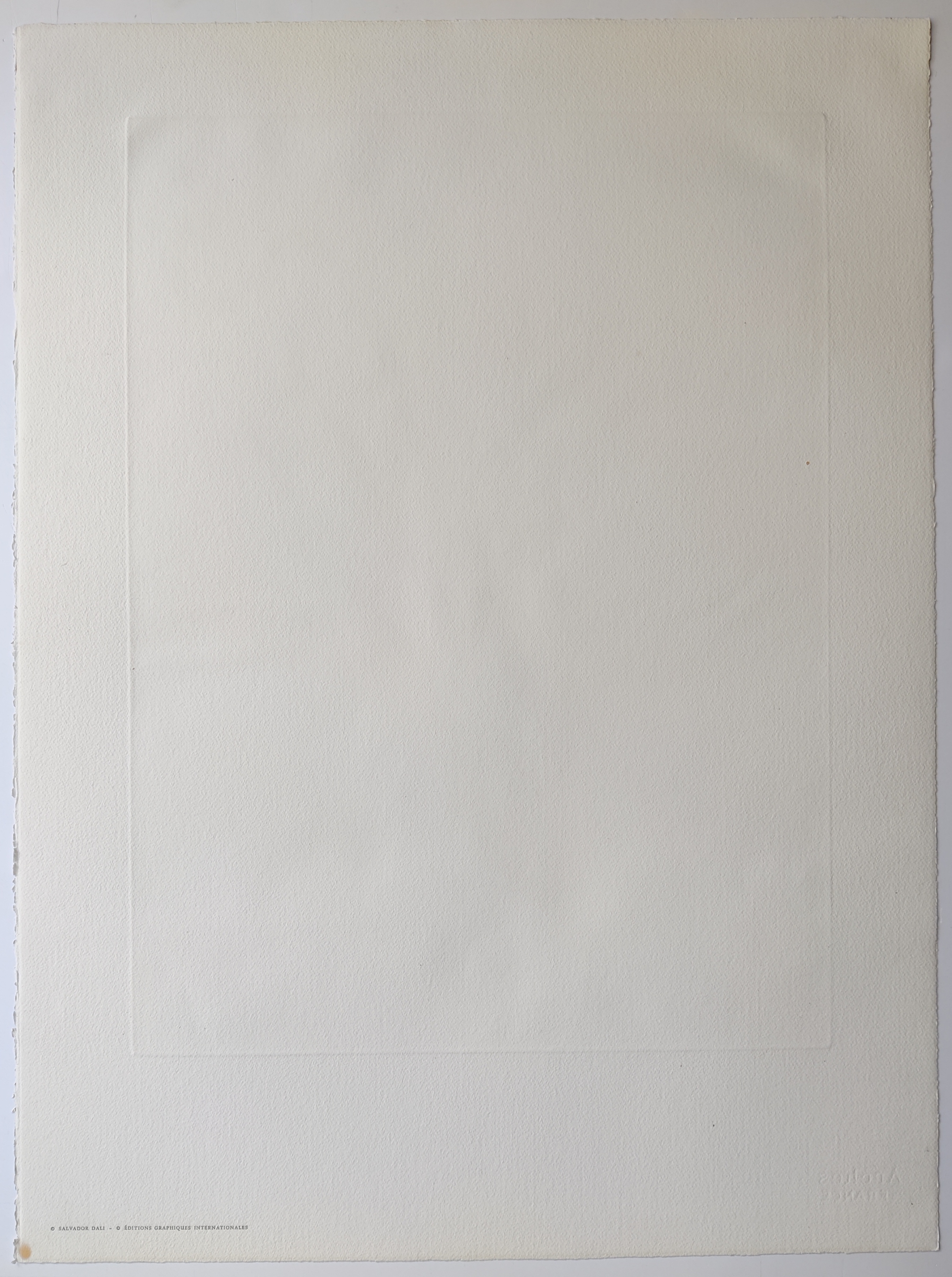 A drawing of a yellow flower on a white background.