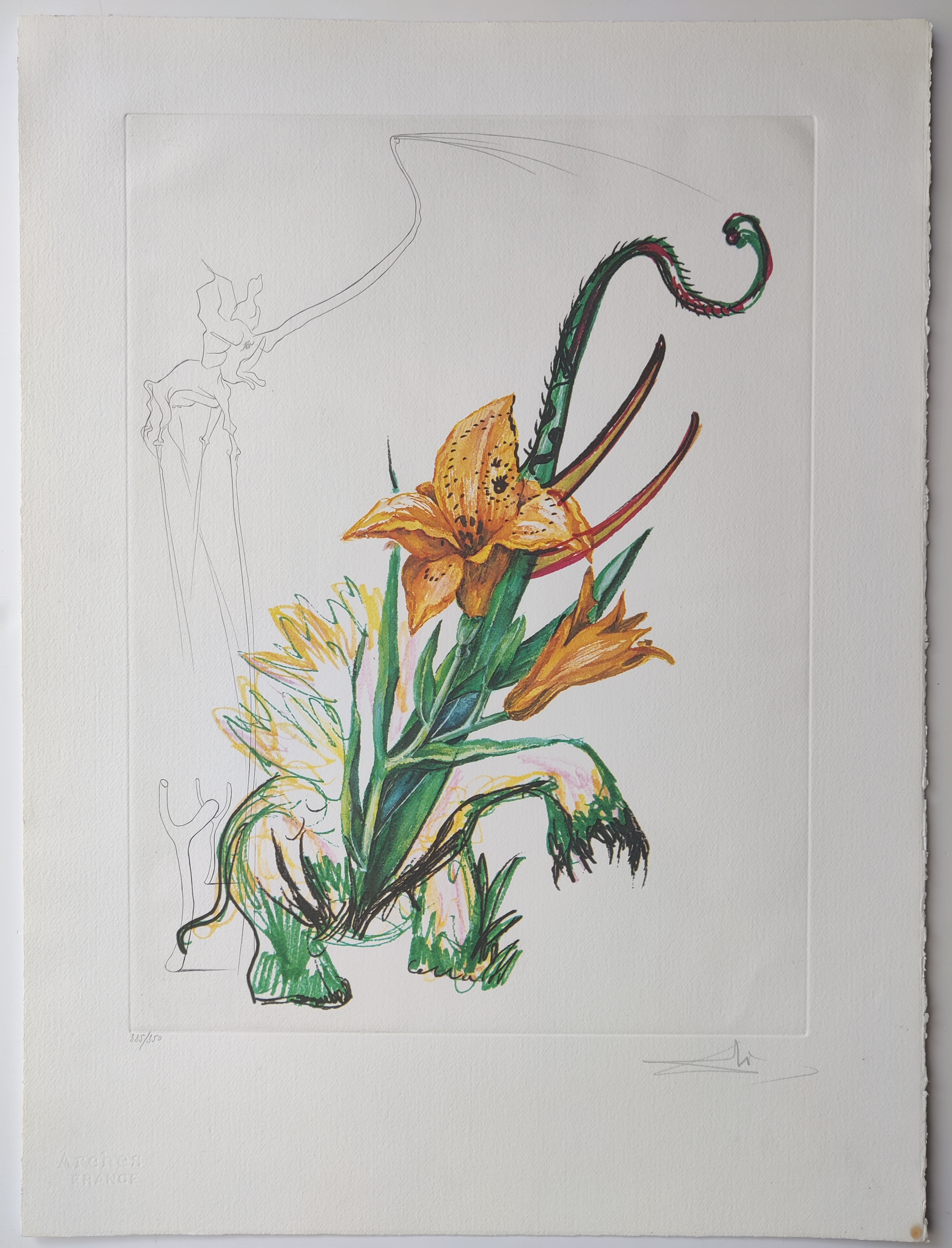 A drawing of a yellow flower on a white background.