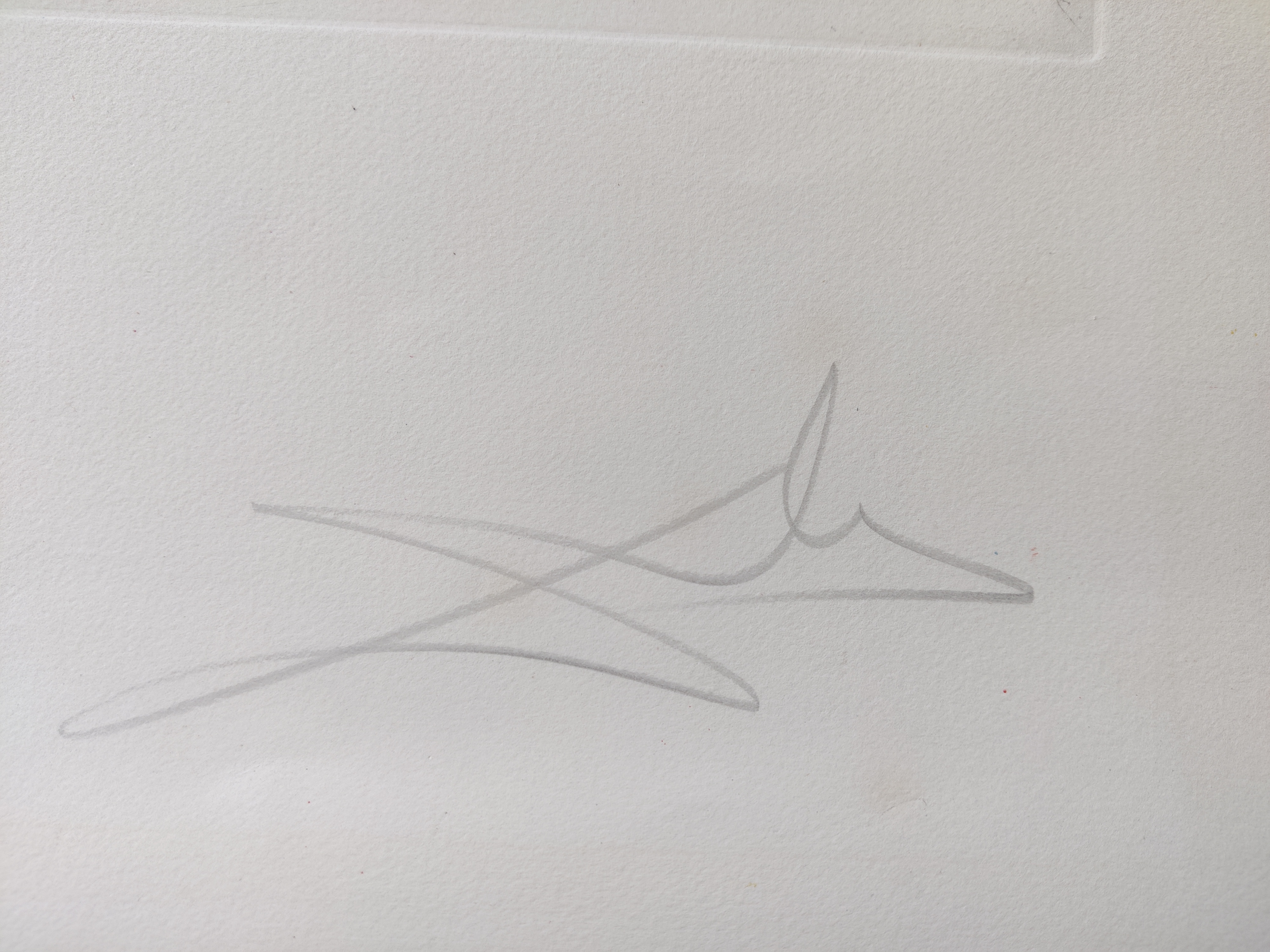 A drawing of two birds with a sun in the background.