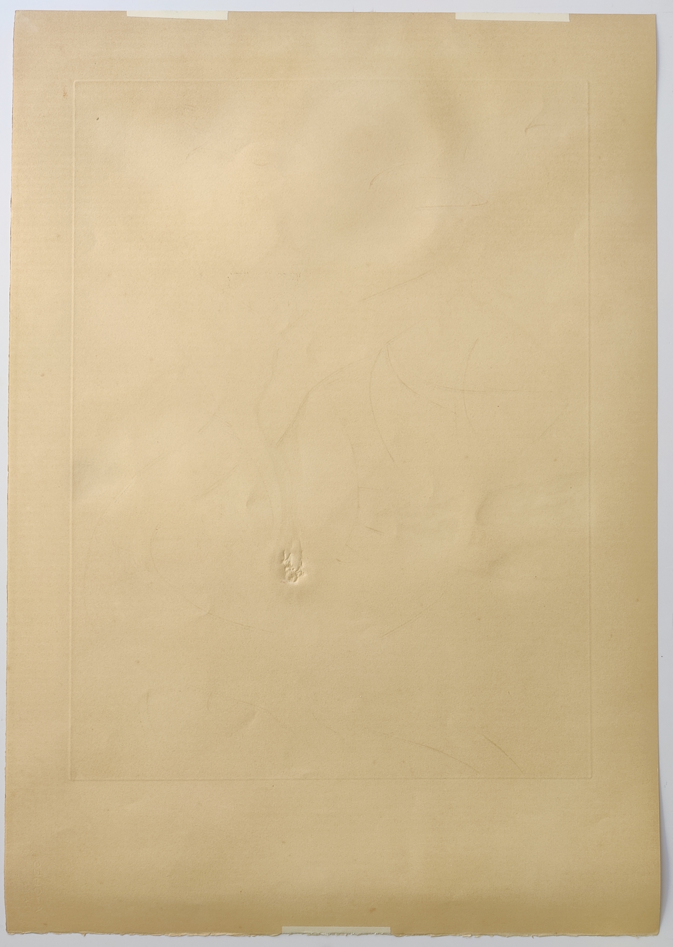 A drawing of two birds with a sun in the background.