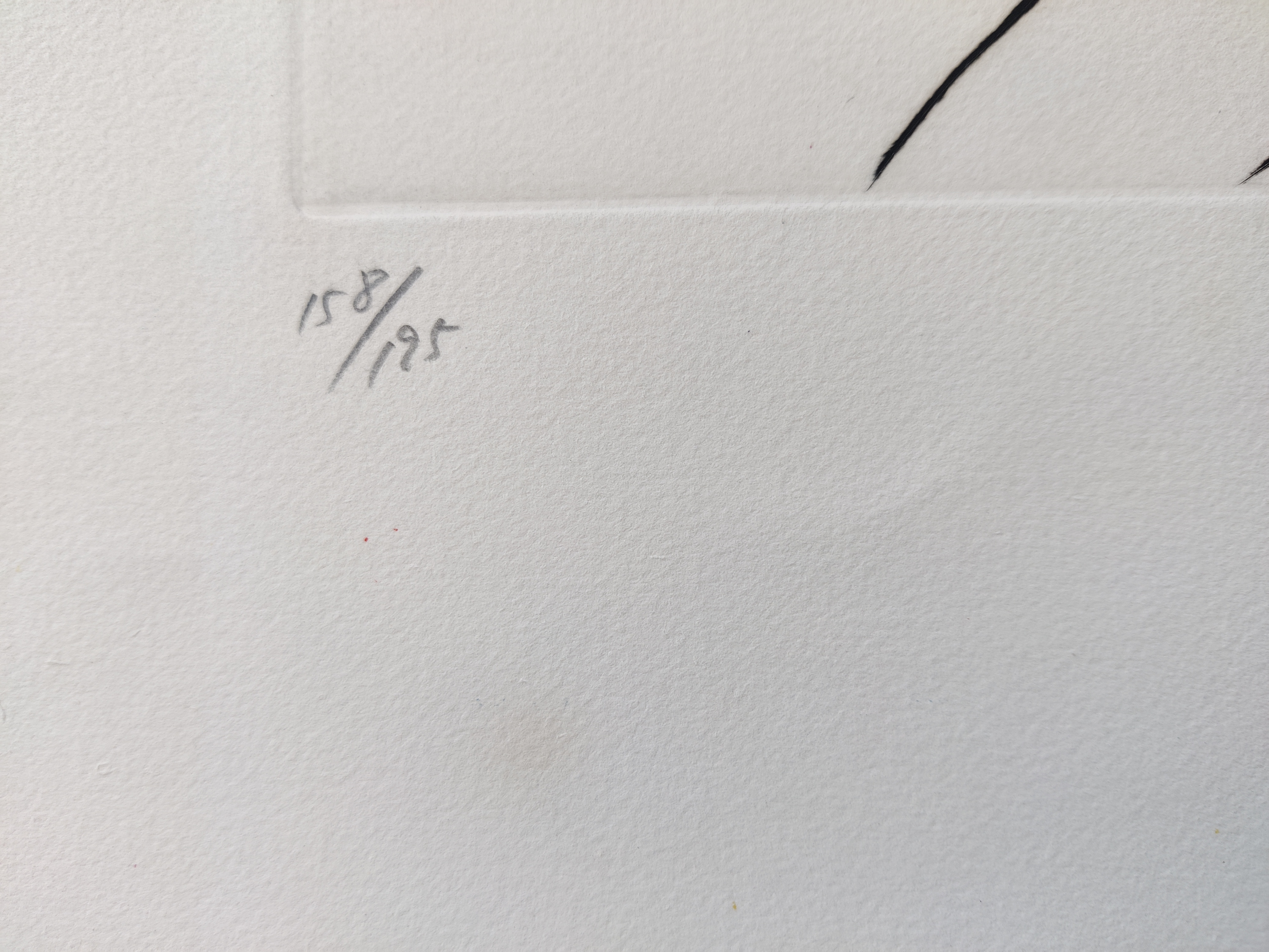 A drawing of two birds with a sun in the background.