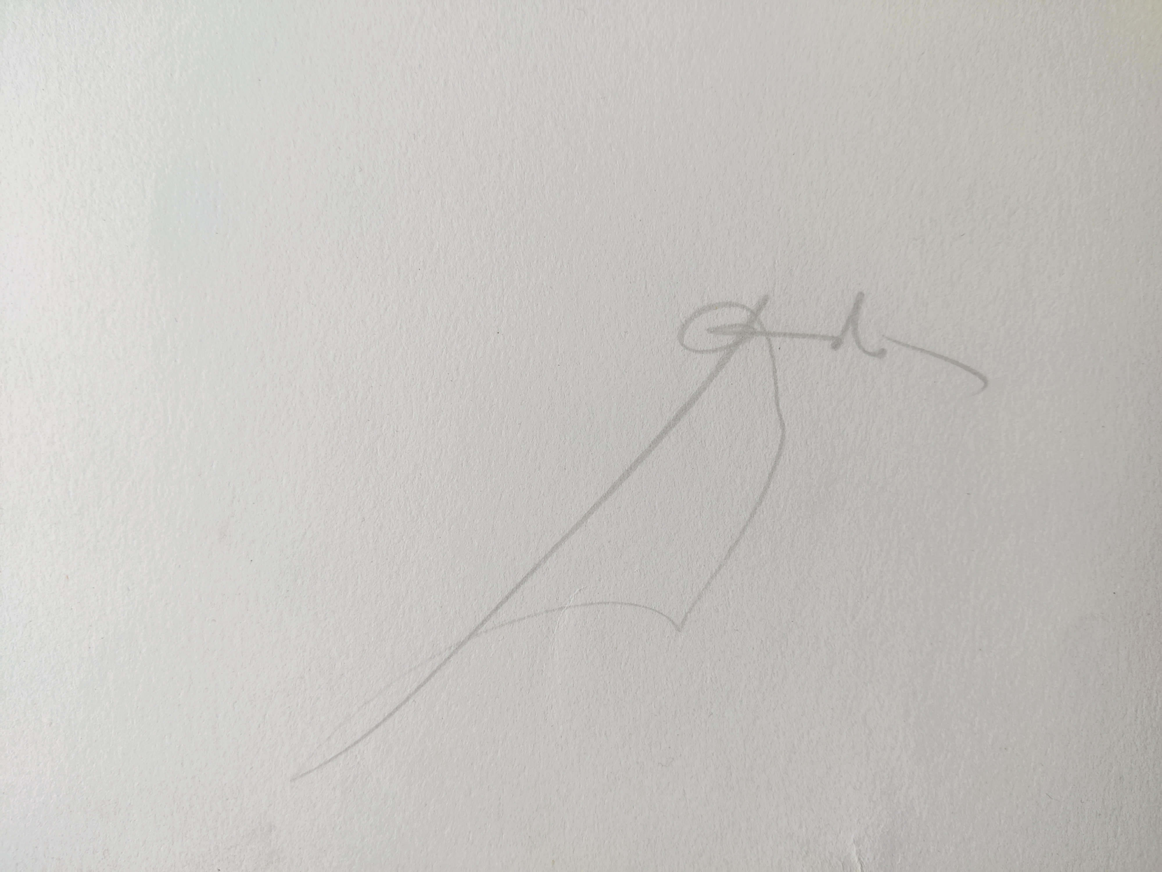 A painting of a horseshoe on a white background.