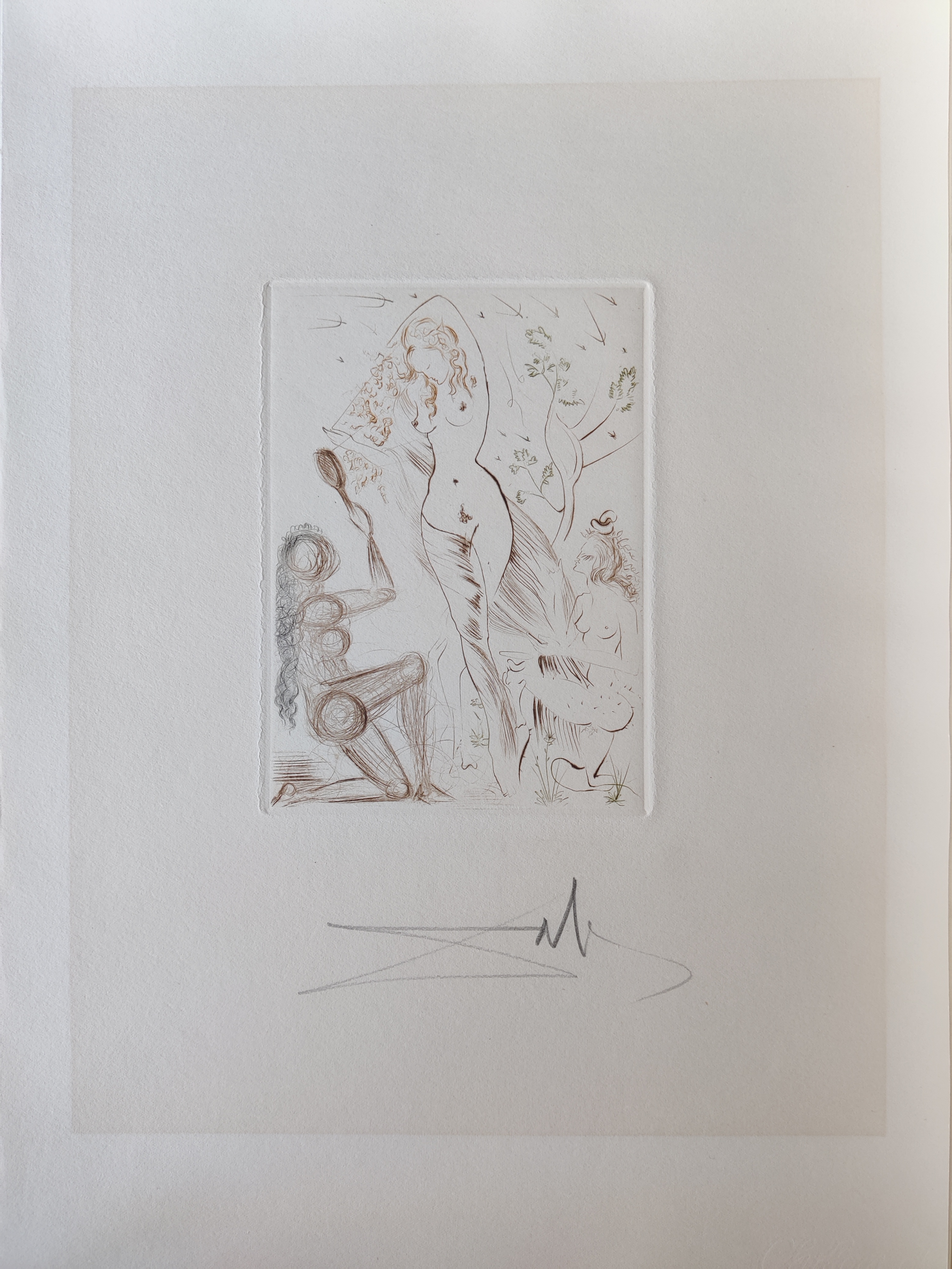 A series of drawings on a white wall. 