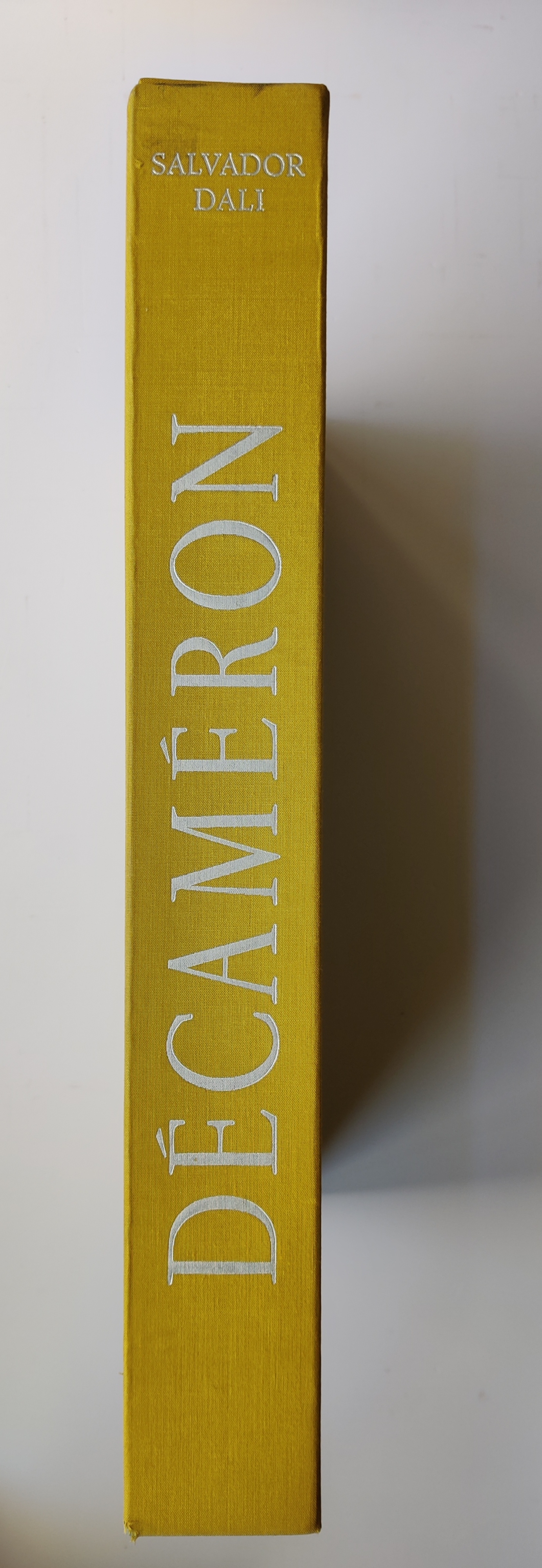 A series of drawings on a white wall. 