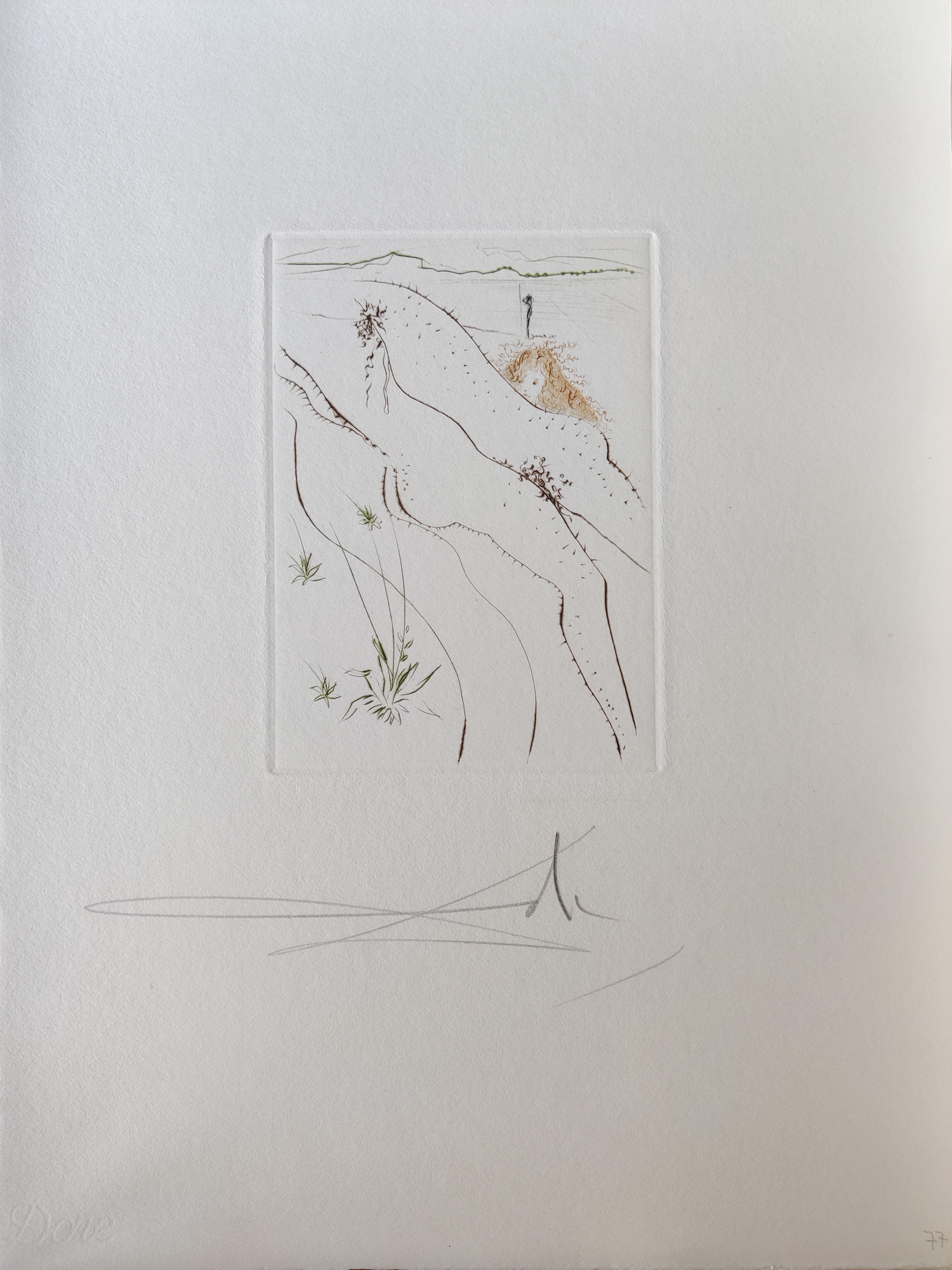 A series of drawings on a white wall. 