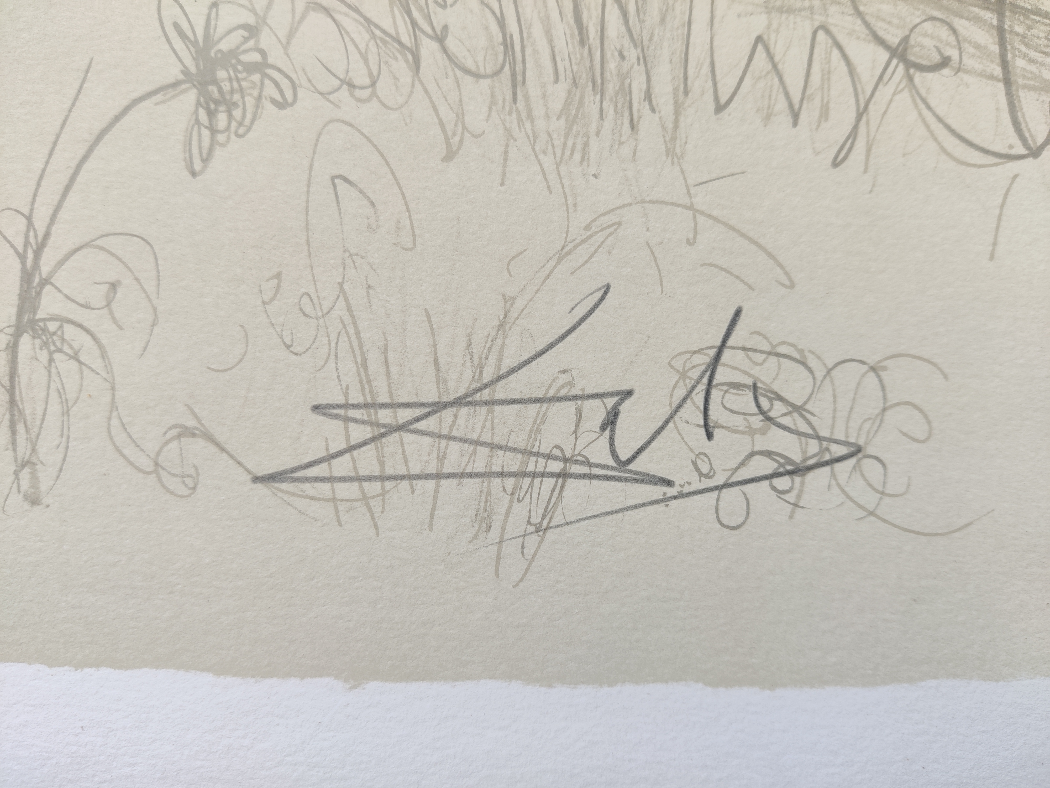 A drawing of a nude woman laying down in a field.