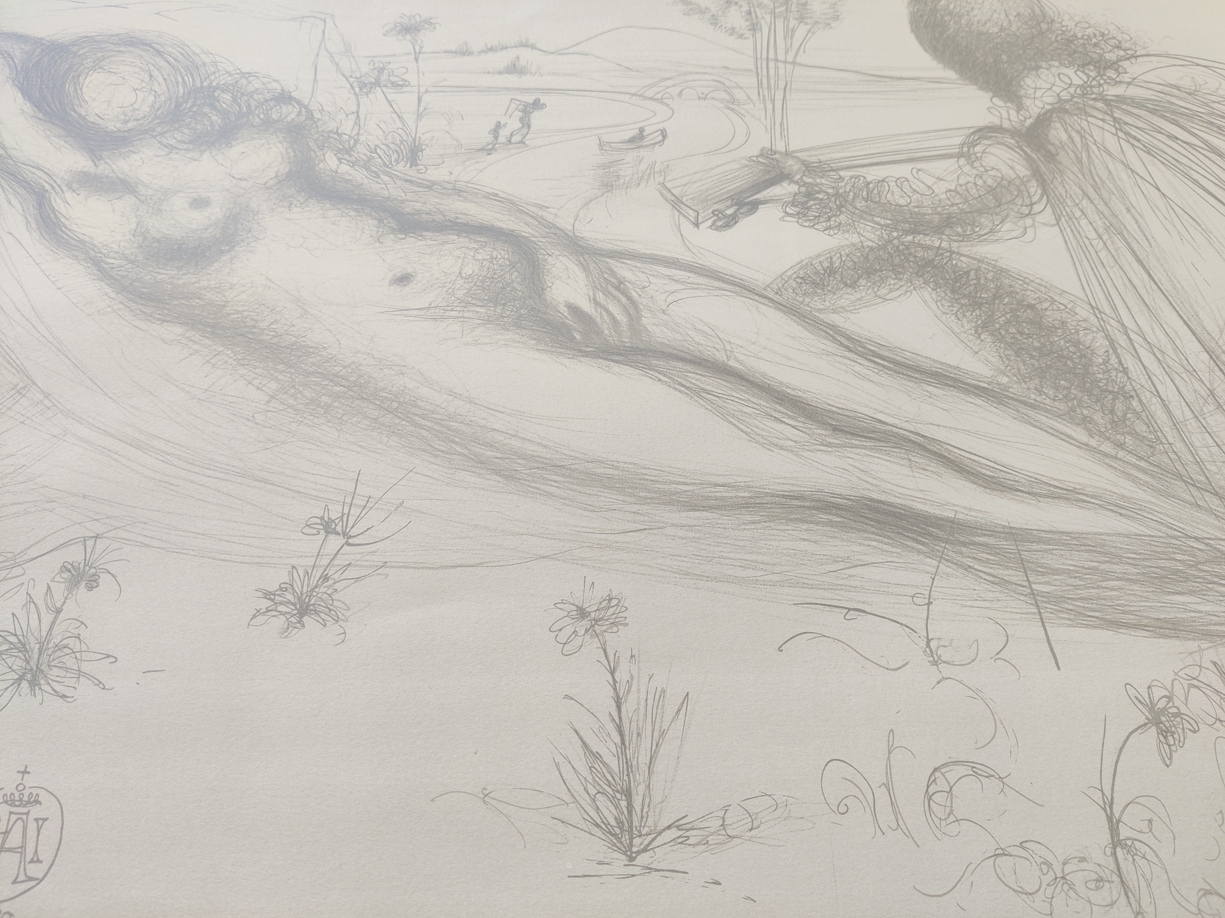 A drawing of a nude woman laying down in a field.