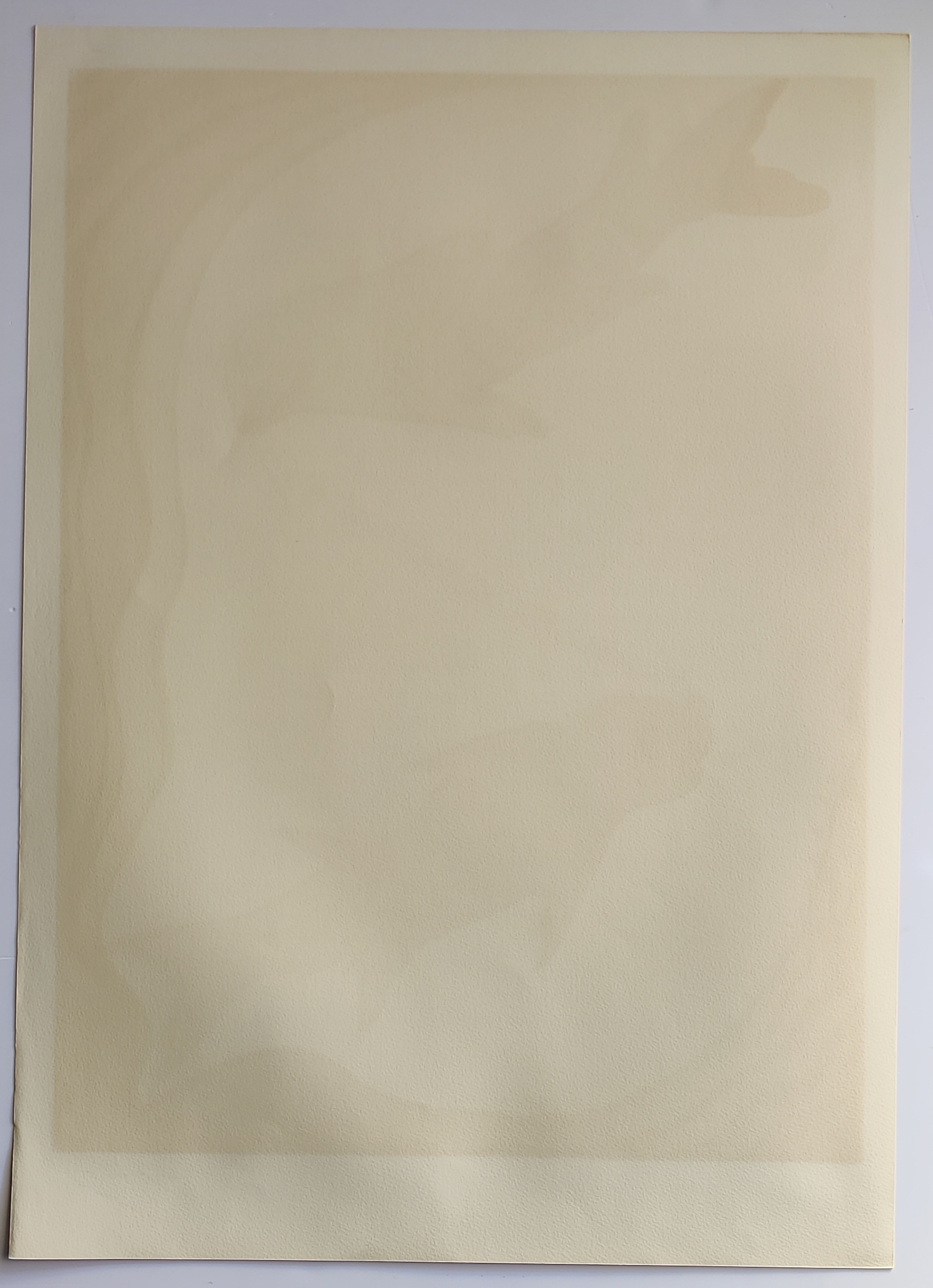 A graphic print of two fish connected by a chain in an underwater scene.