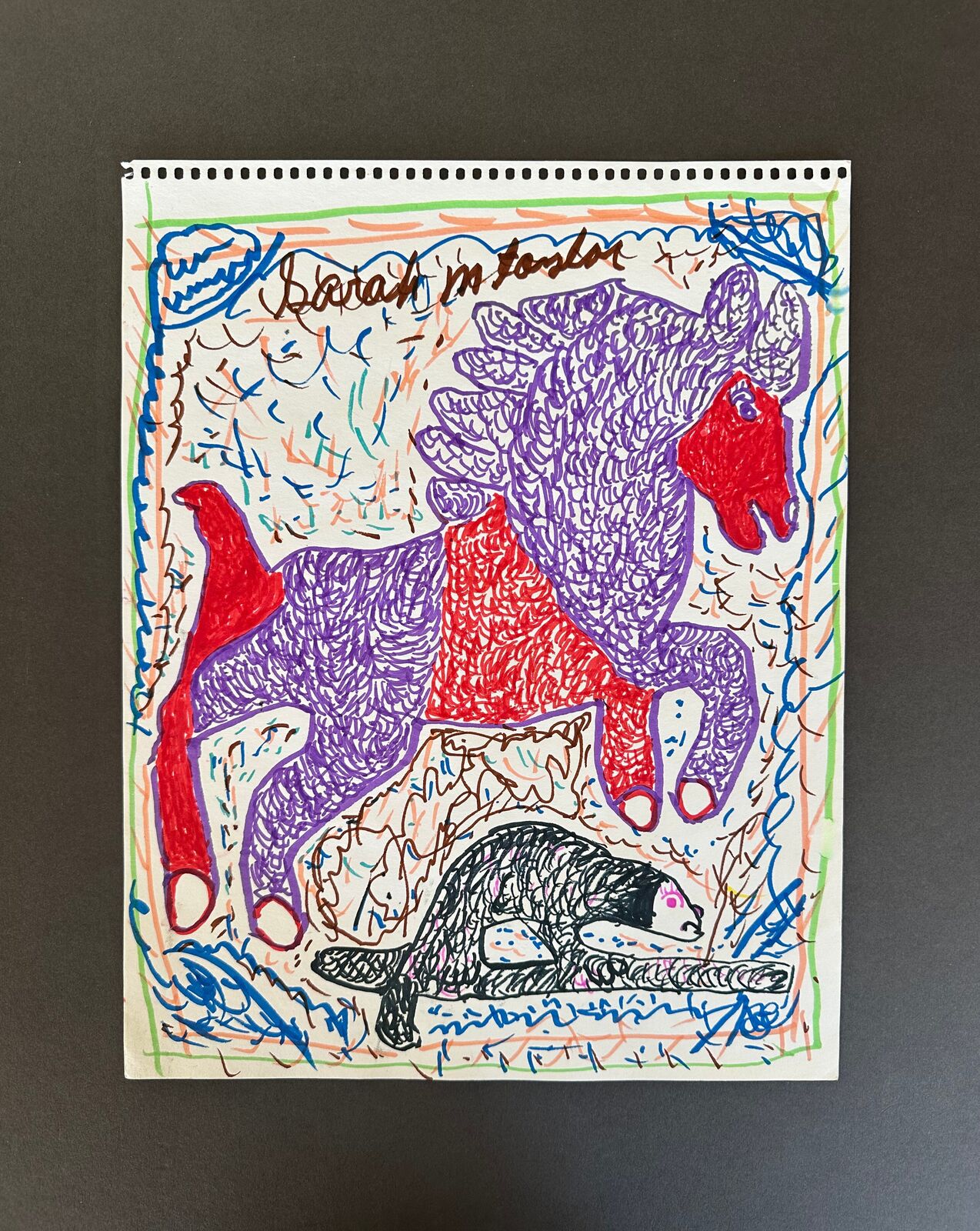 Artwork by Sarah Mary Taylor, Untitled (jumping horse), Made of Felt tip marker on paper 