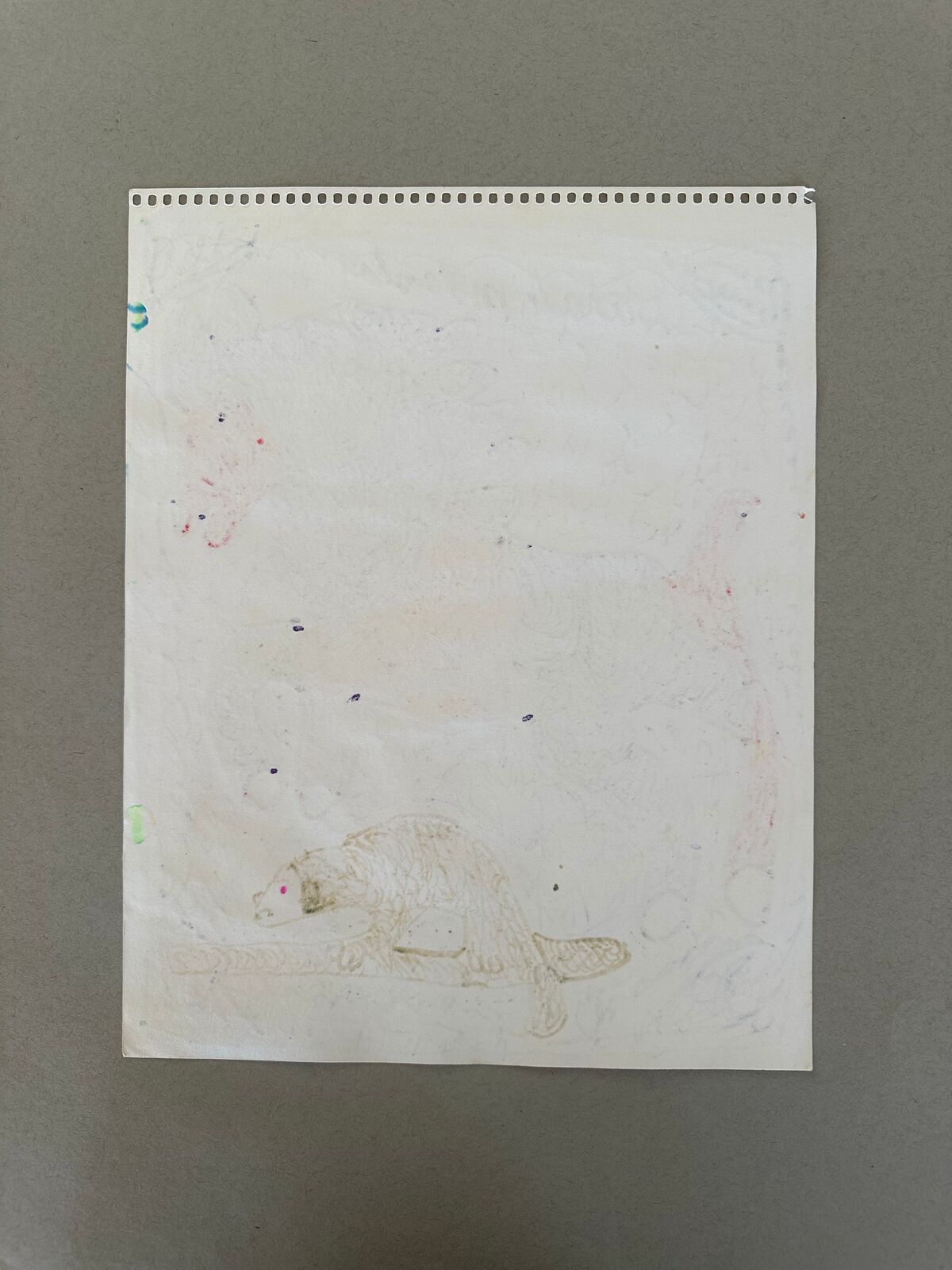 Artwork by Sarah Mary Taylor, Untitled (jumping horse), Made of Felt tip marker on paper 