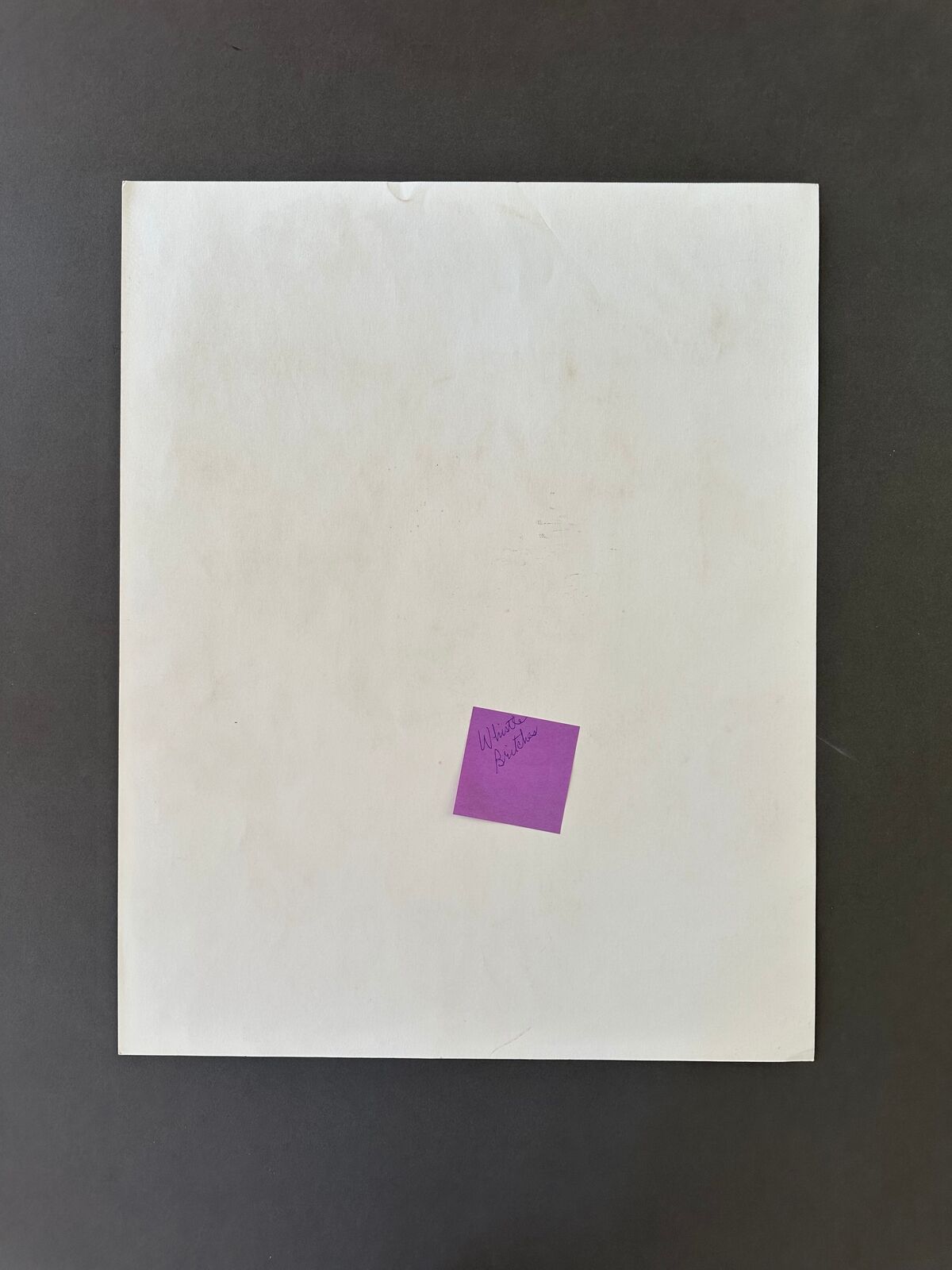 Artwork by Sarah Mary Taylor, Whistle Britches, Made of Felt tip marker on paper 