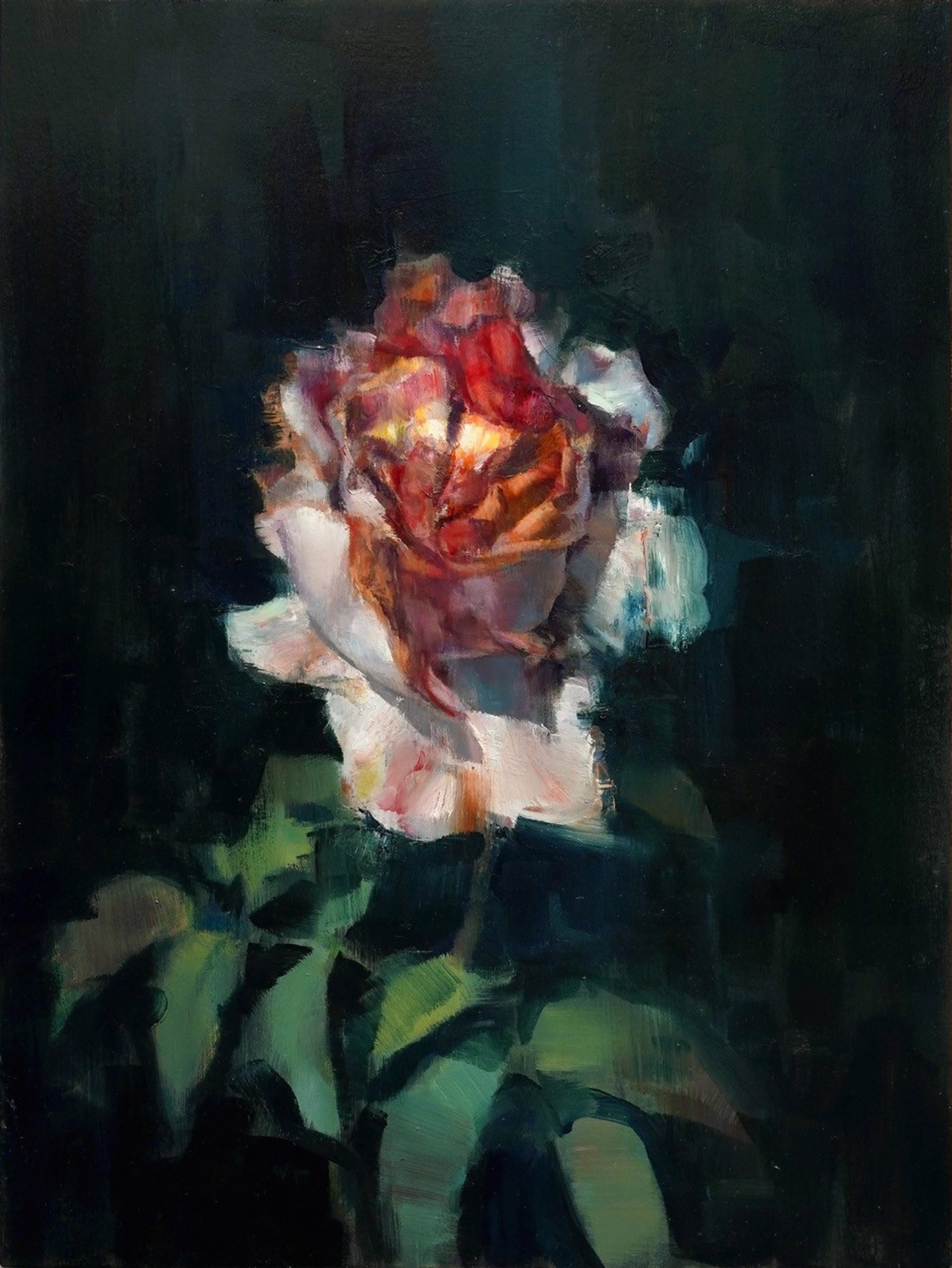 A dramatic oil painting of a single rose with vivid red and white petals against a dark, moody background.