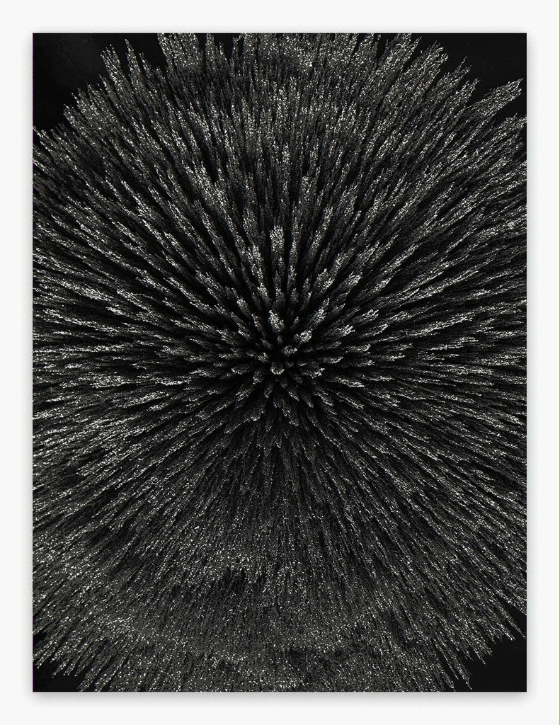 Magnetic Radiation 99 (Large) by Seb Janiak, 2012