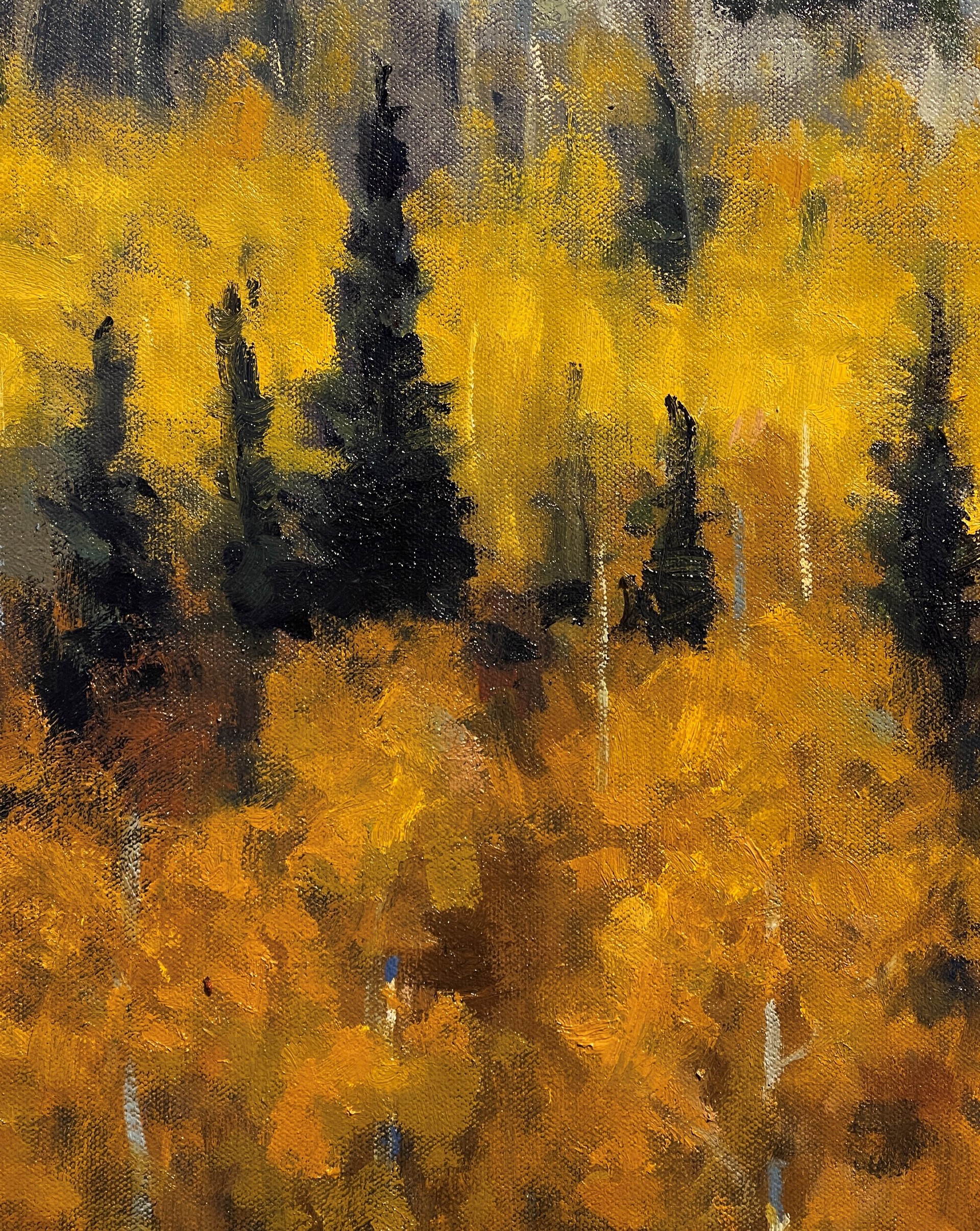 Gold in the Hills