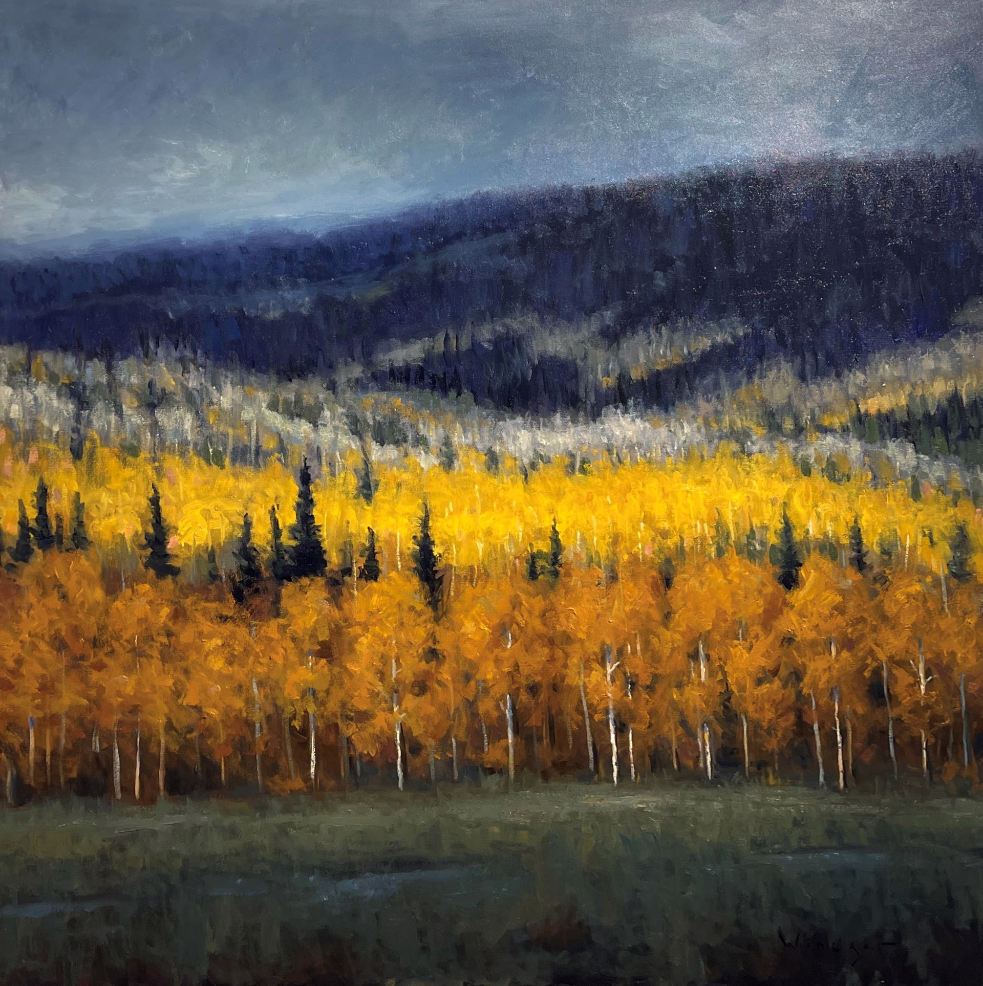 Gold in the Hills