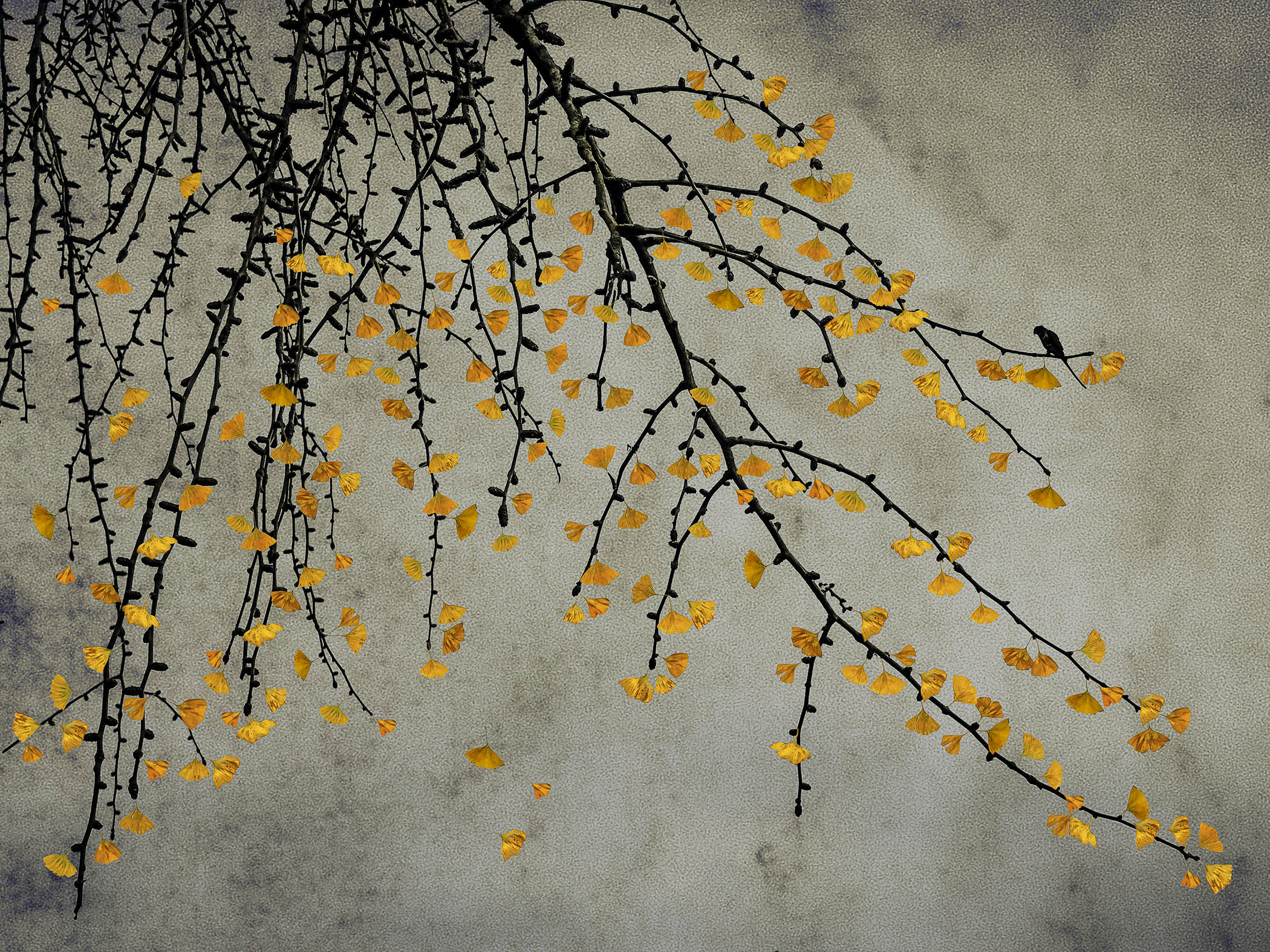 The Last Bird Song #11 by Shamani  Surendran, 2025