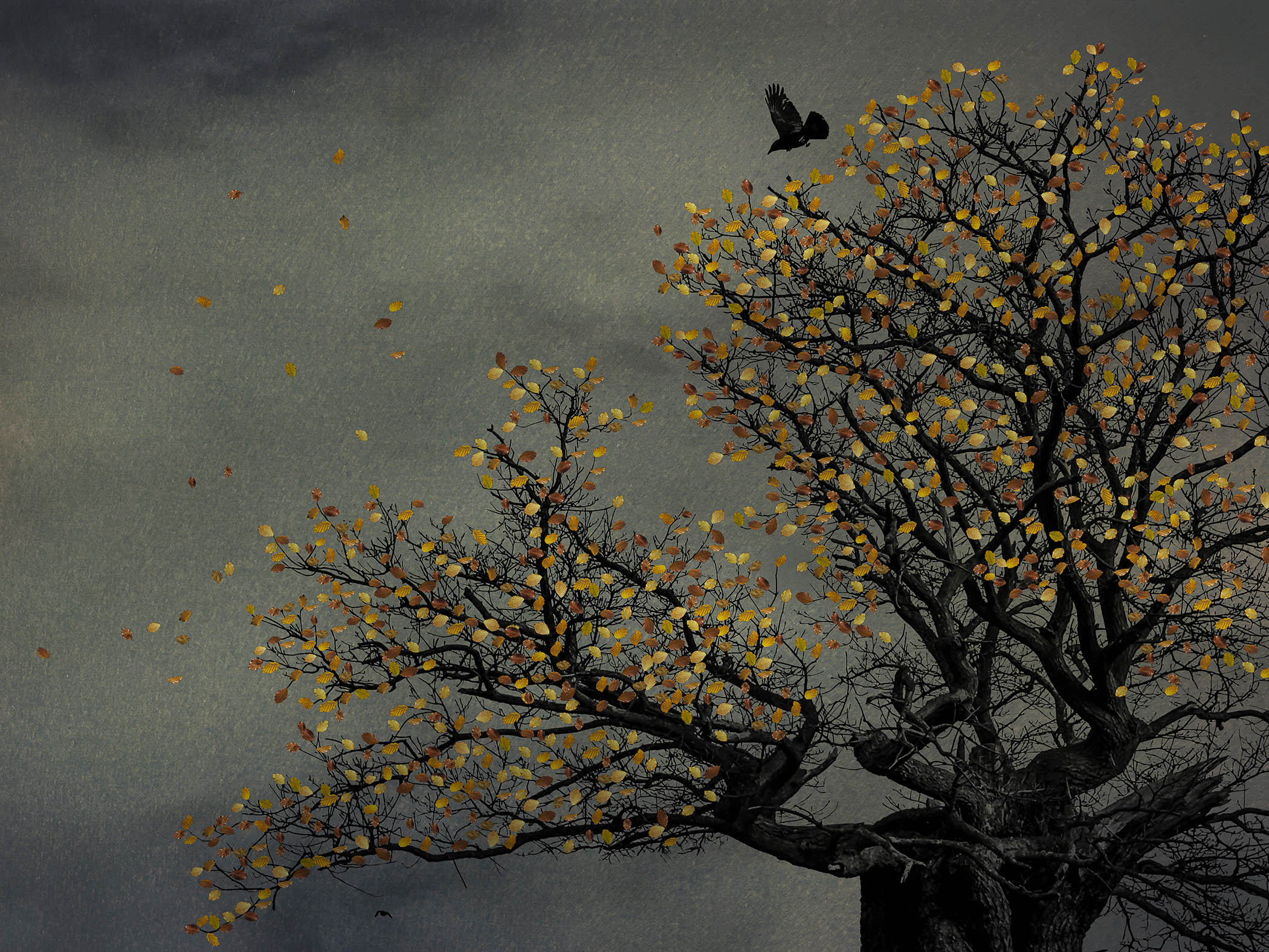 The Last Bird Song #12 by Shamani  Surendran, 2025