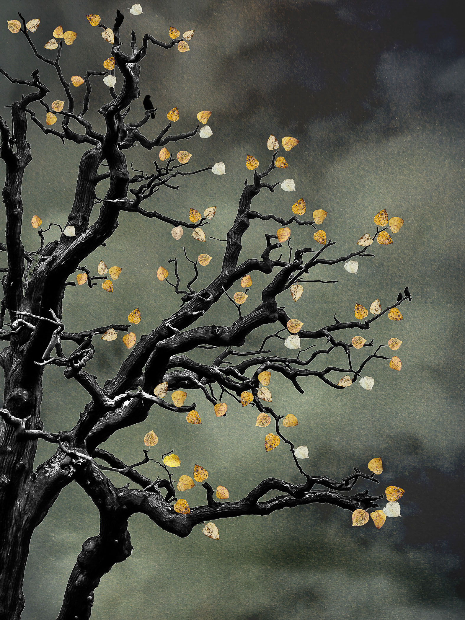 The Last Bird Song #2 by Shamani  Surendran, 2024