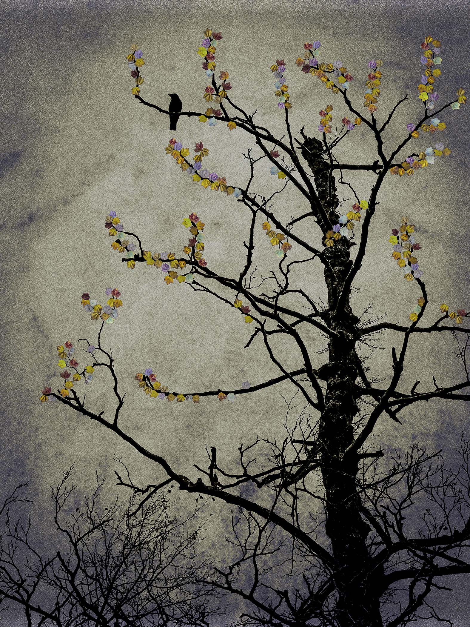 The Last Bird Song #3 by Shamani  Surendran, 2025