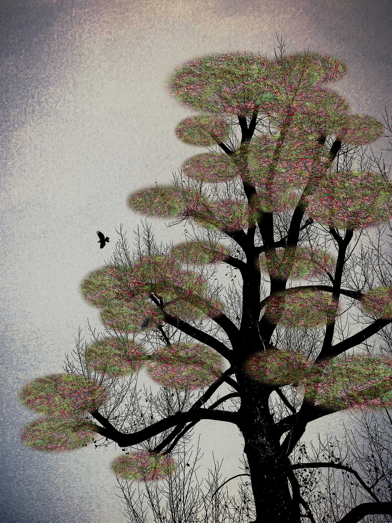 The Last Bird Song #4 by Shamani  Surendran, 2025