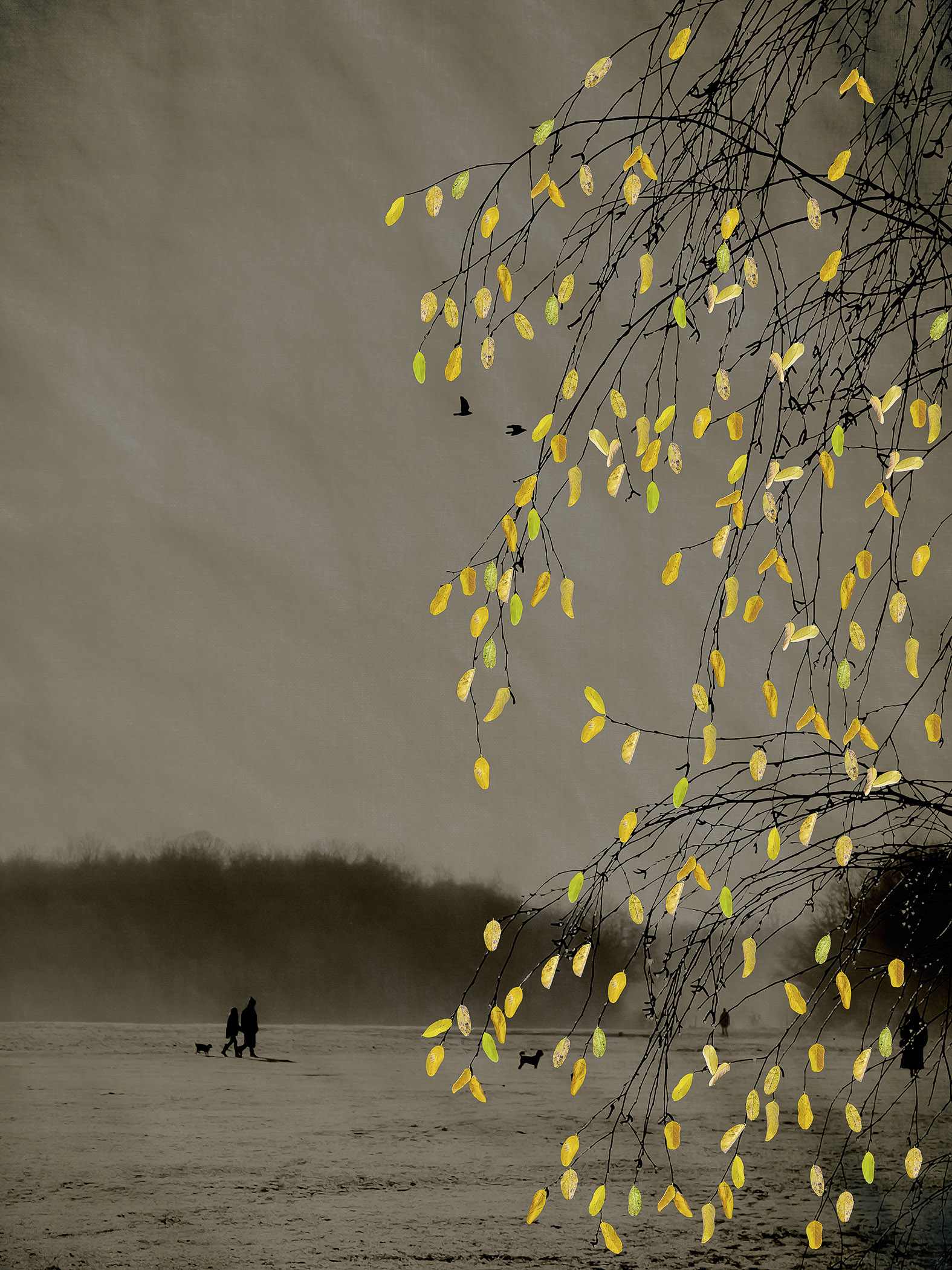 The Last Bird Song #6 by Shamani  Surendran, 2025