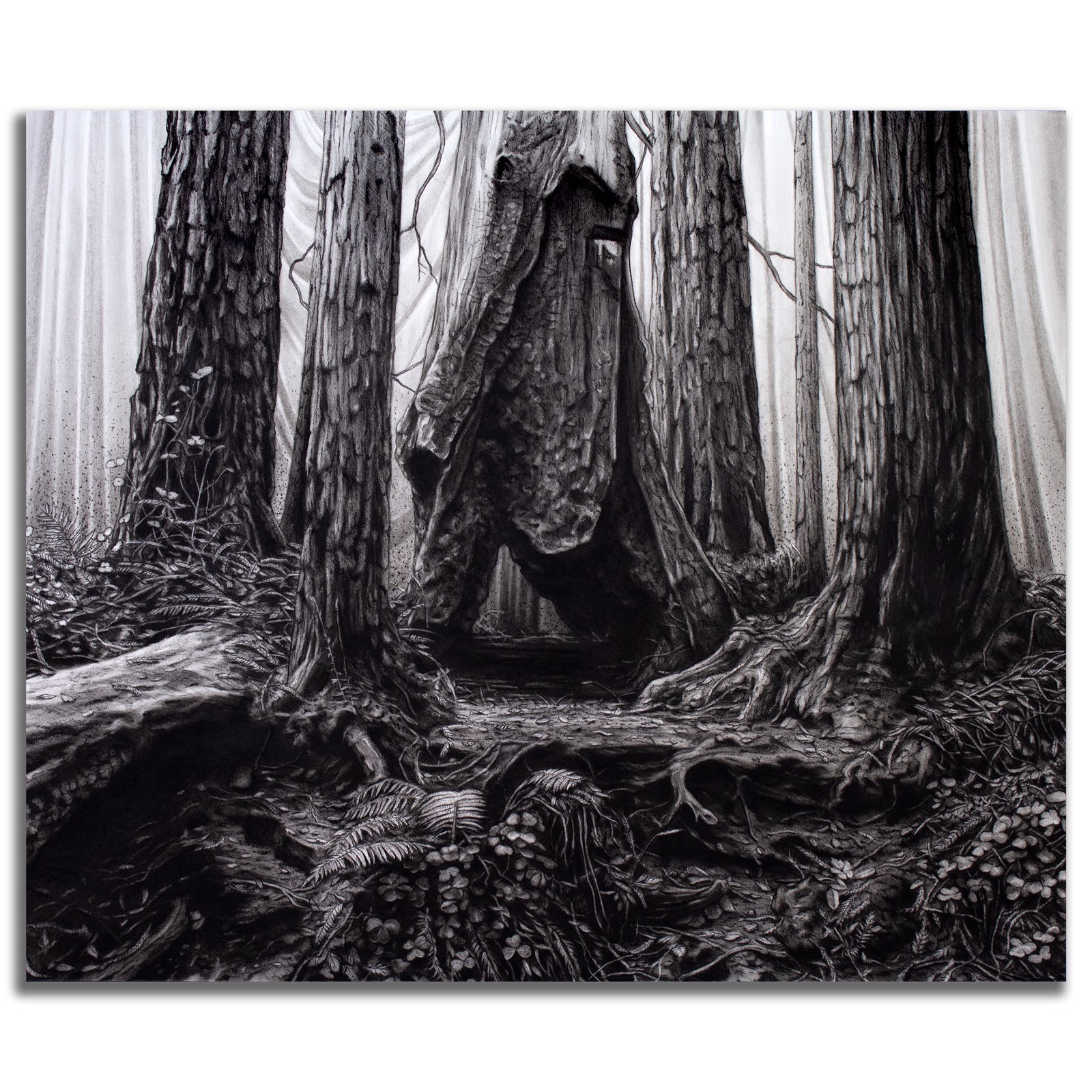 A black and white drawing of a forest scene.