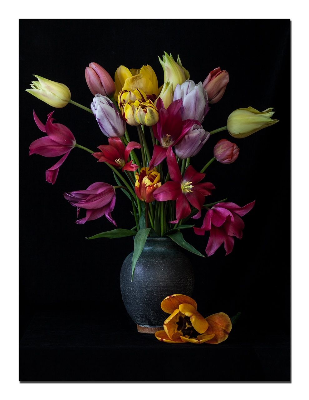 Tulips in Pottery Vase 2 by Shelley Nott, 17th century