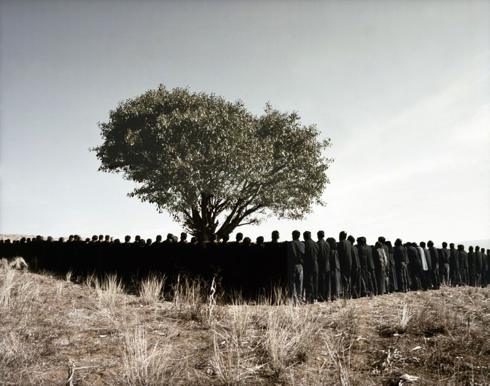 Artwork by Shirin Neshat, Tooba Series, Made of Cibachrome print 