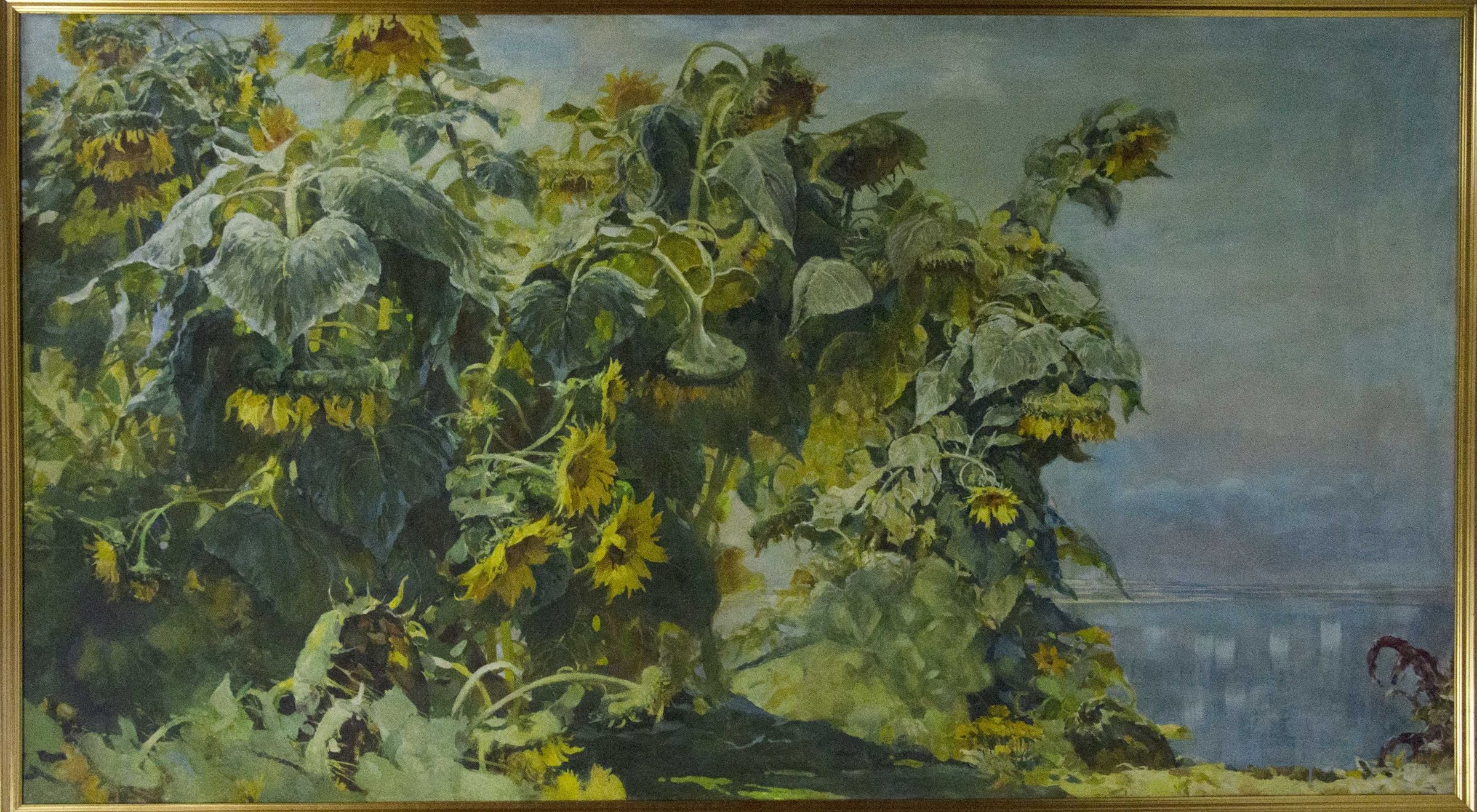 Sunflowers are growing by Sergei Shishko, null