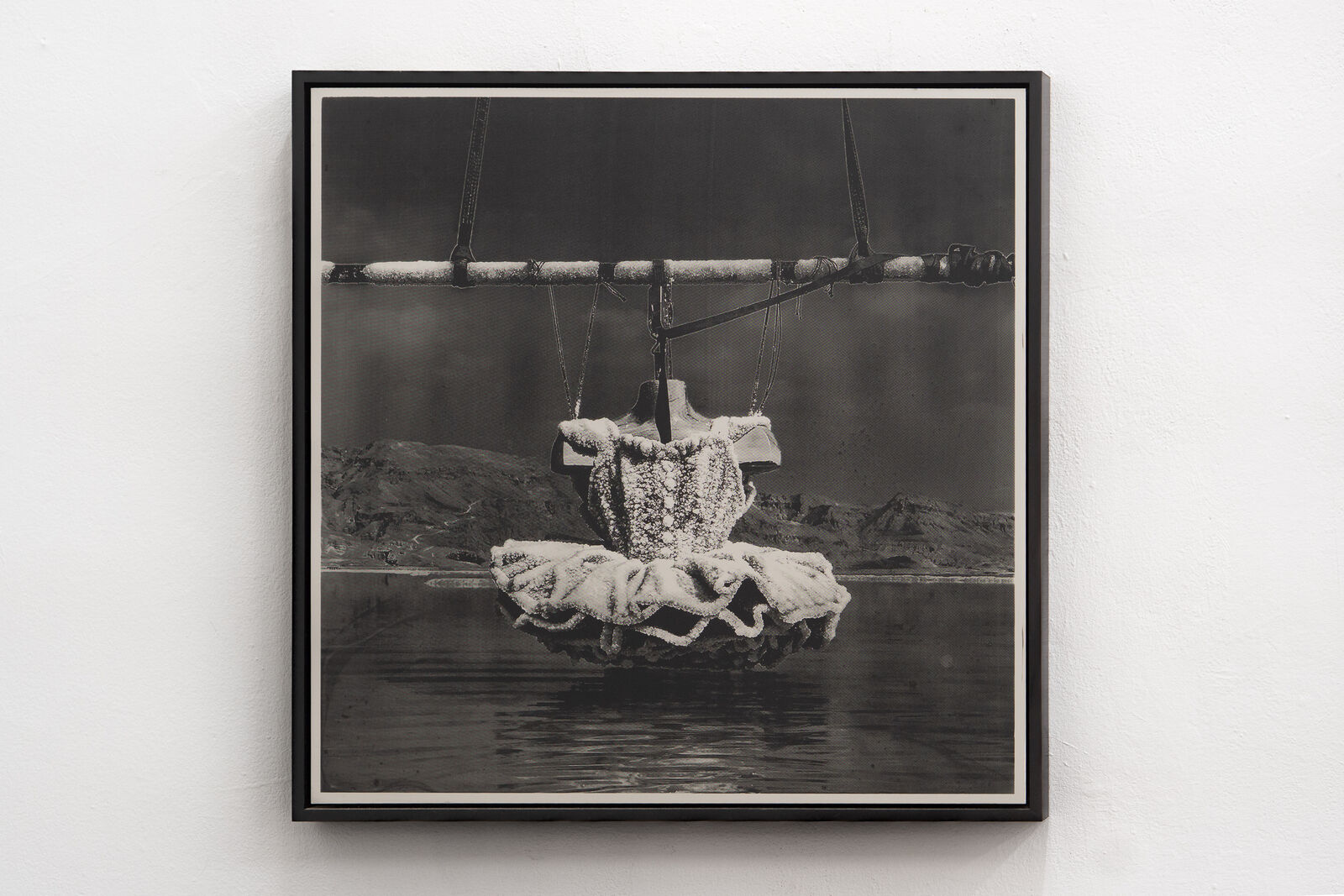 Tutu - Dead Sea by Sigalit Landau, 2018