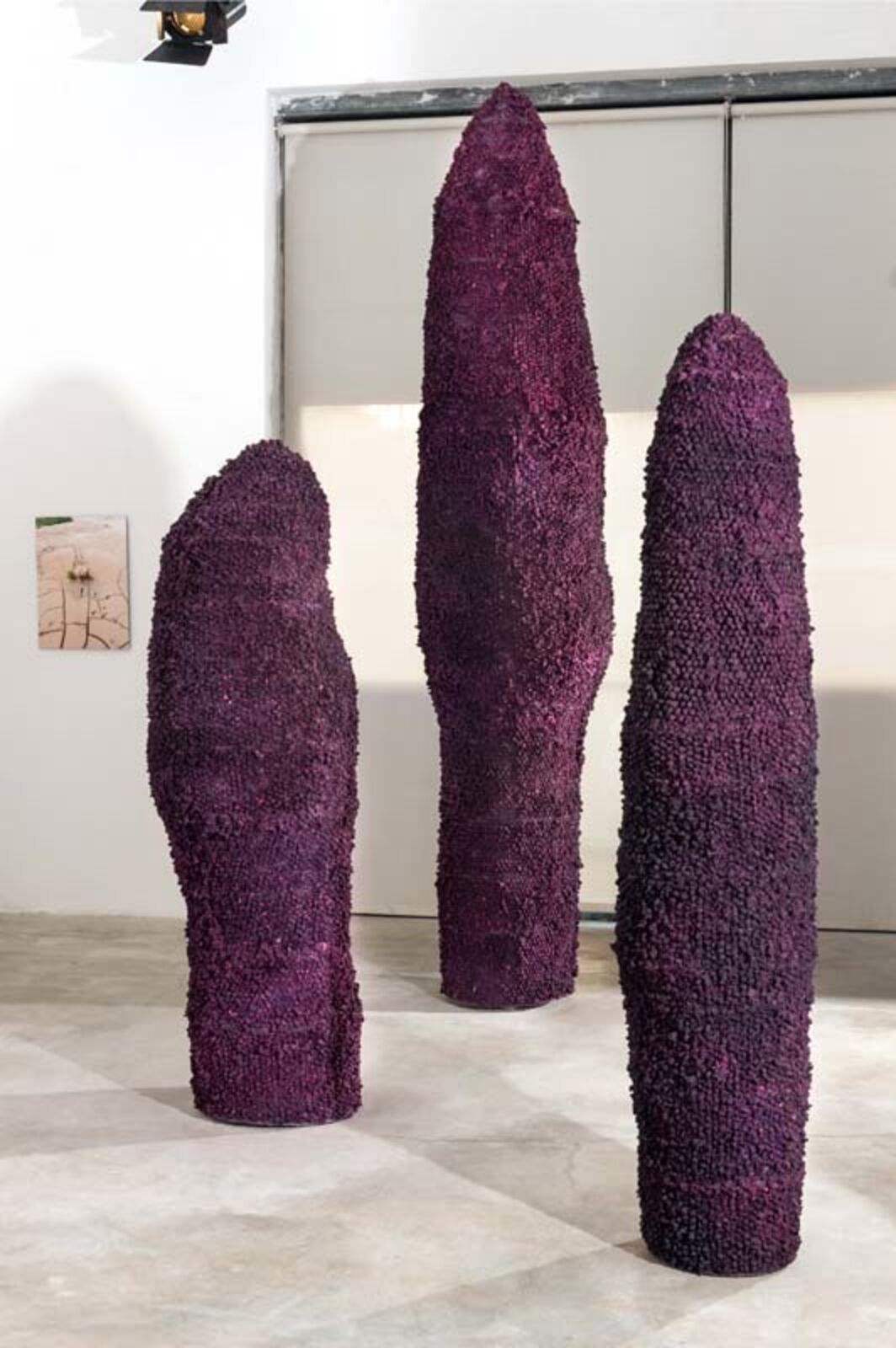 Artwork by Sigalit Landau, Zbib el Ard, Made of Metal frame, papier machee treated 