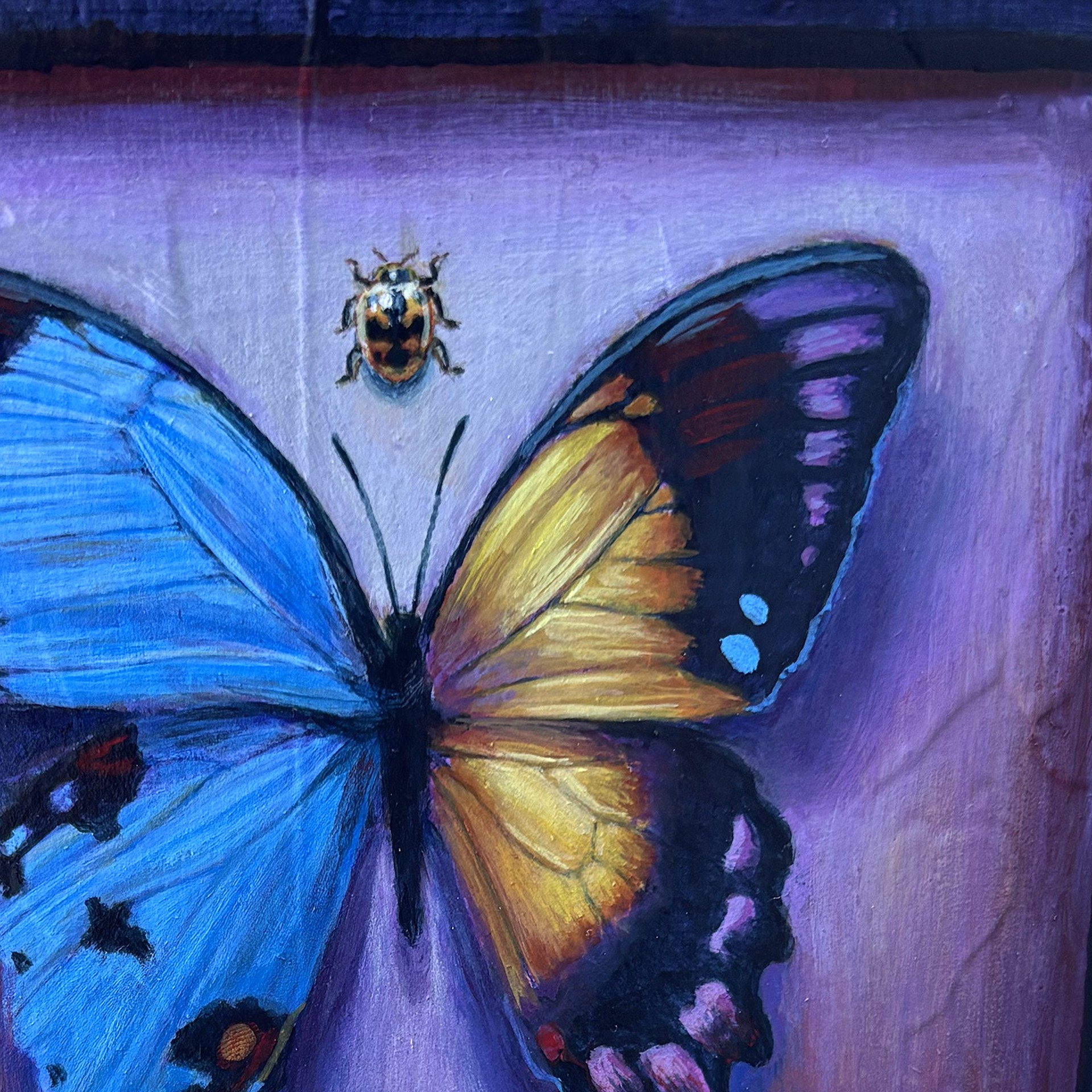 A painting of a butterfly and a ladybug on a purple background.