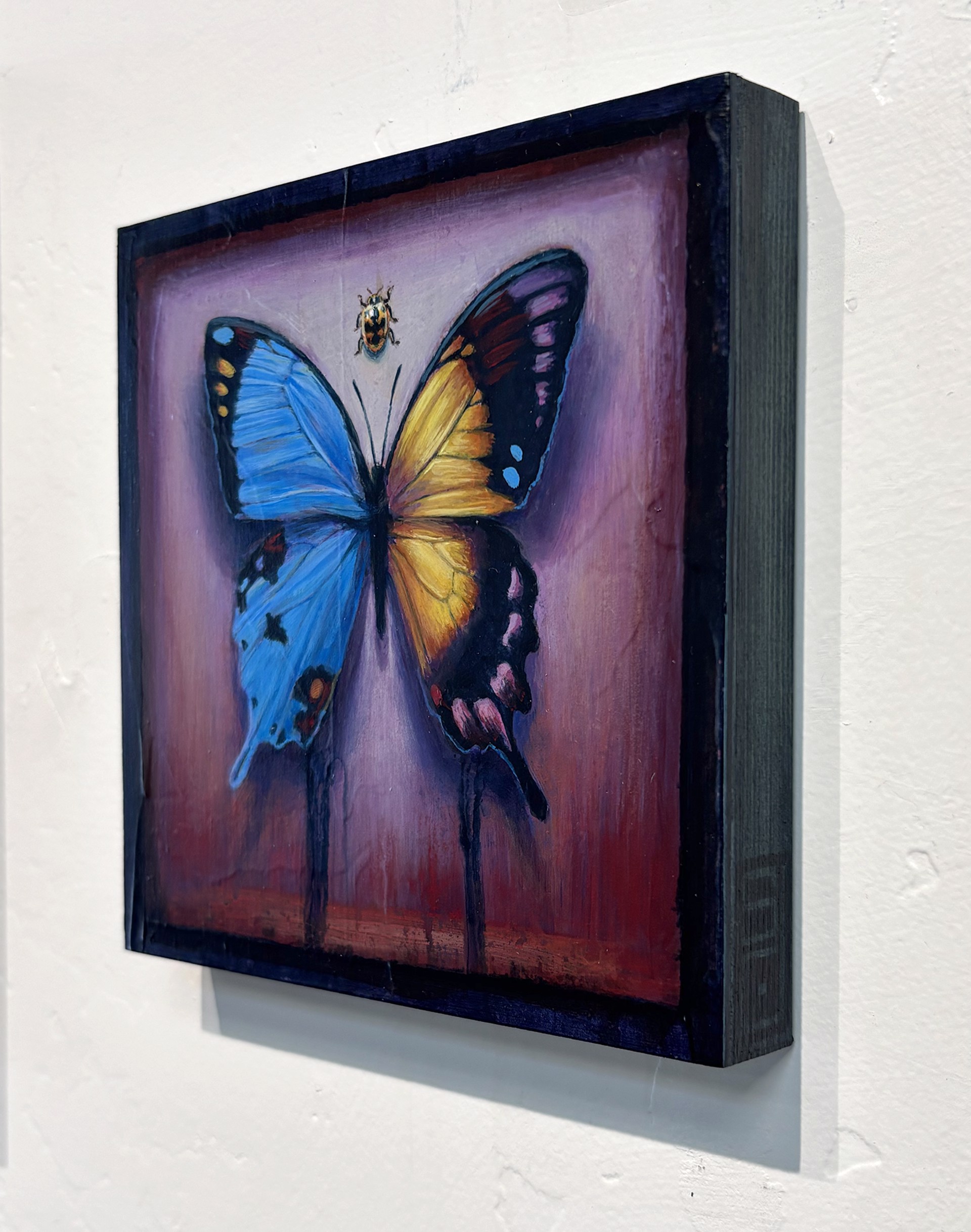 A painting of a butterfly and a ladybug on a purple background.