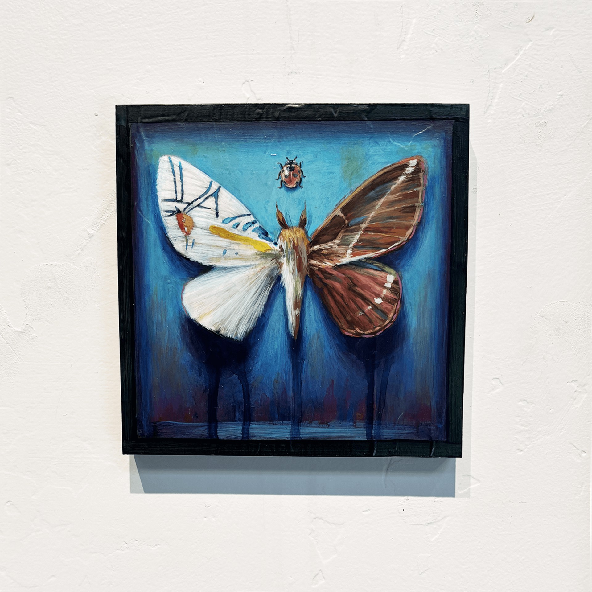 A painting of a moth and a ladybug on a blue background.
