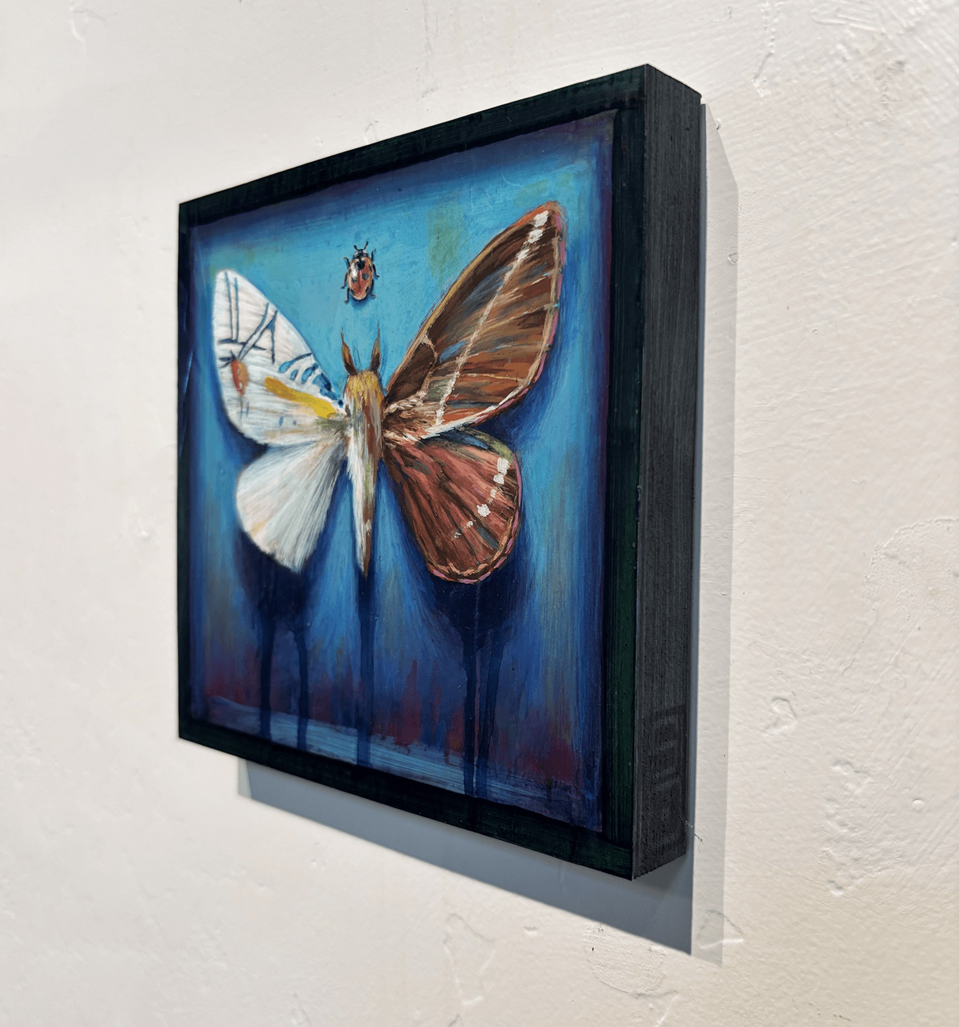 A painting of a moth and a ladybug on a blue background.
