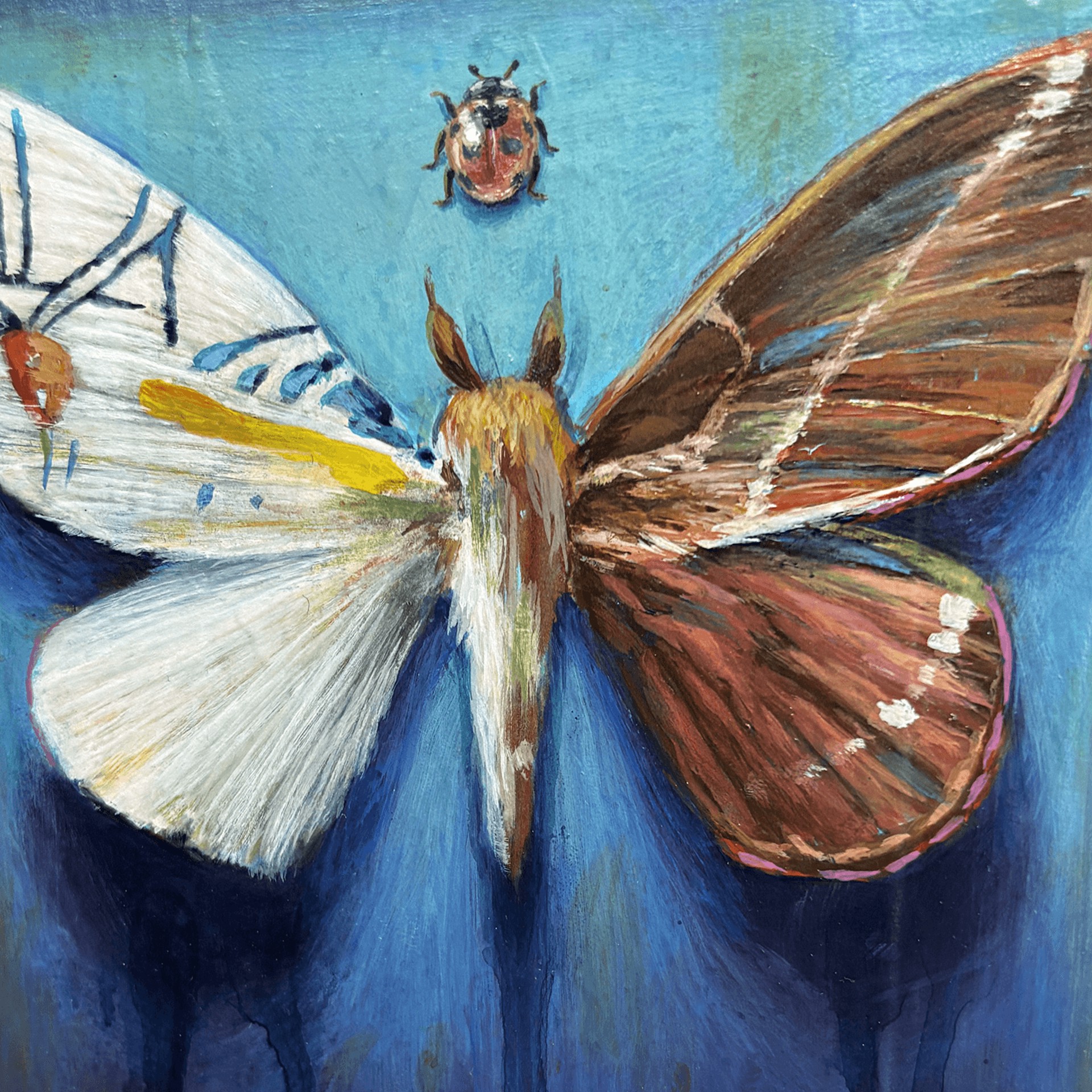 A painting of a moth and a ladybug on a blue background.