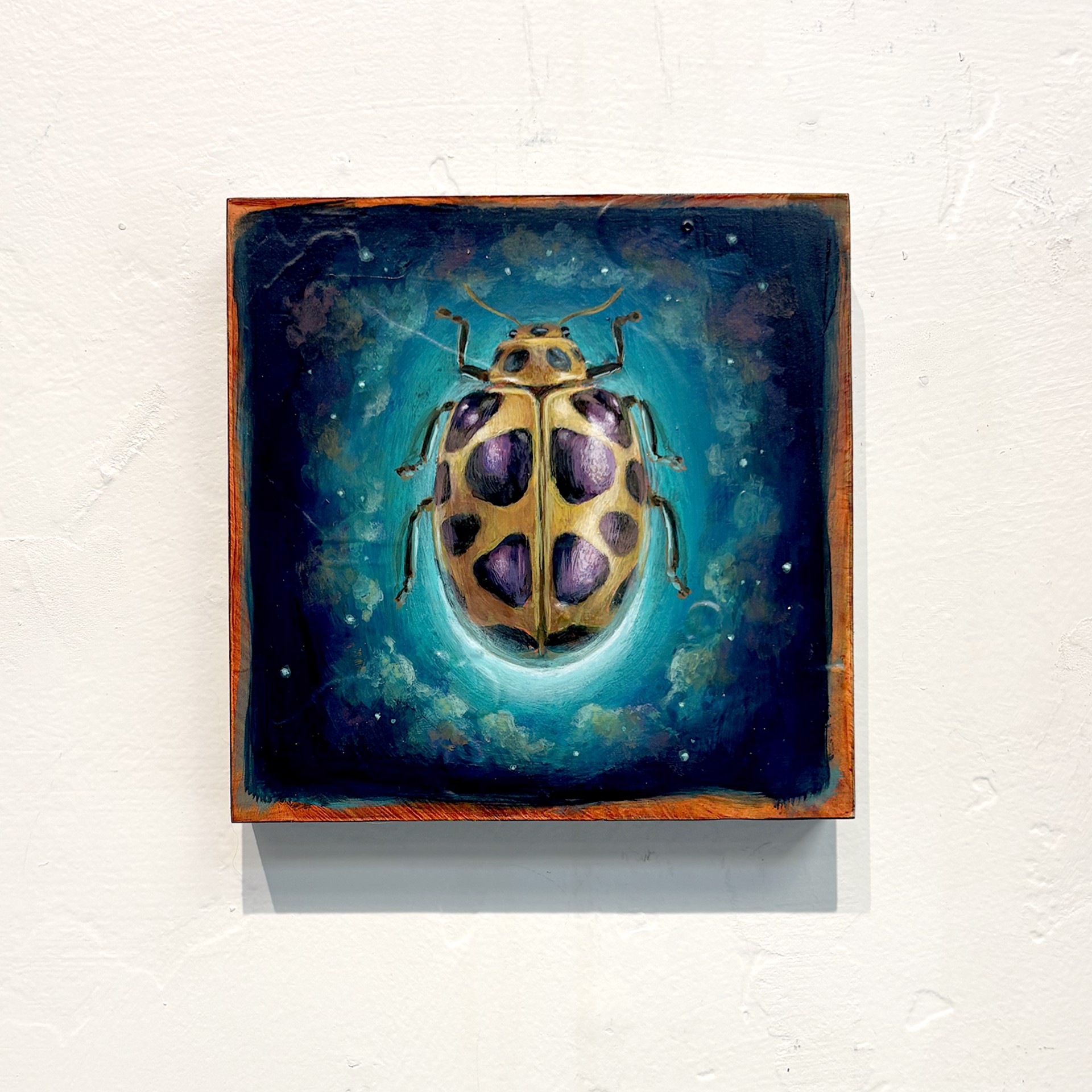 Space Beetle 02