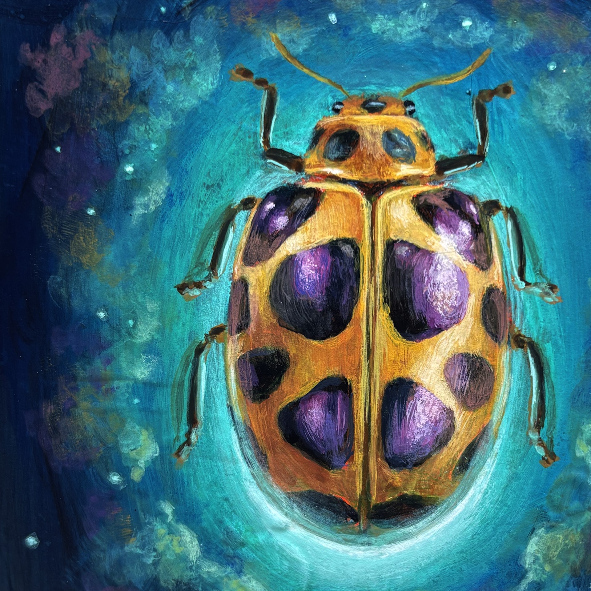 Space Beetle 02