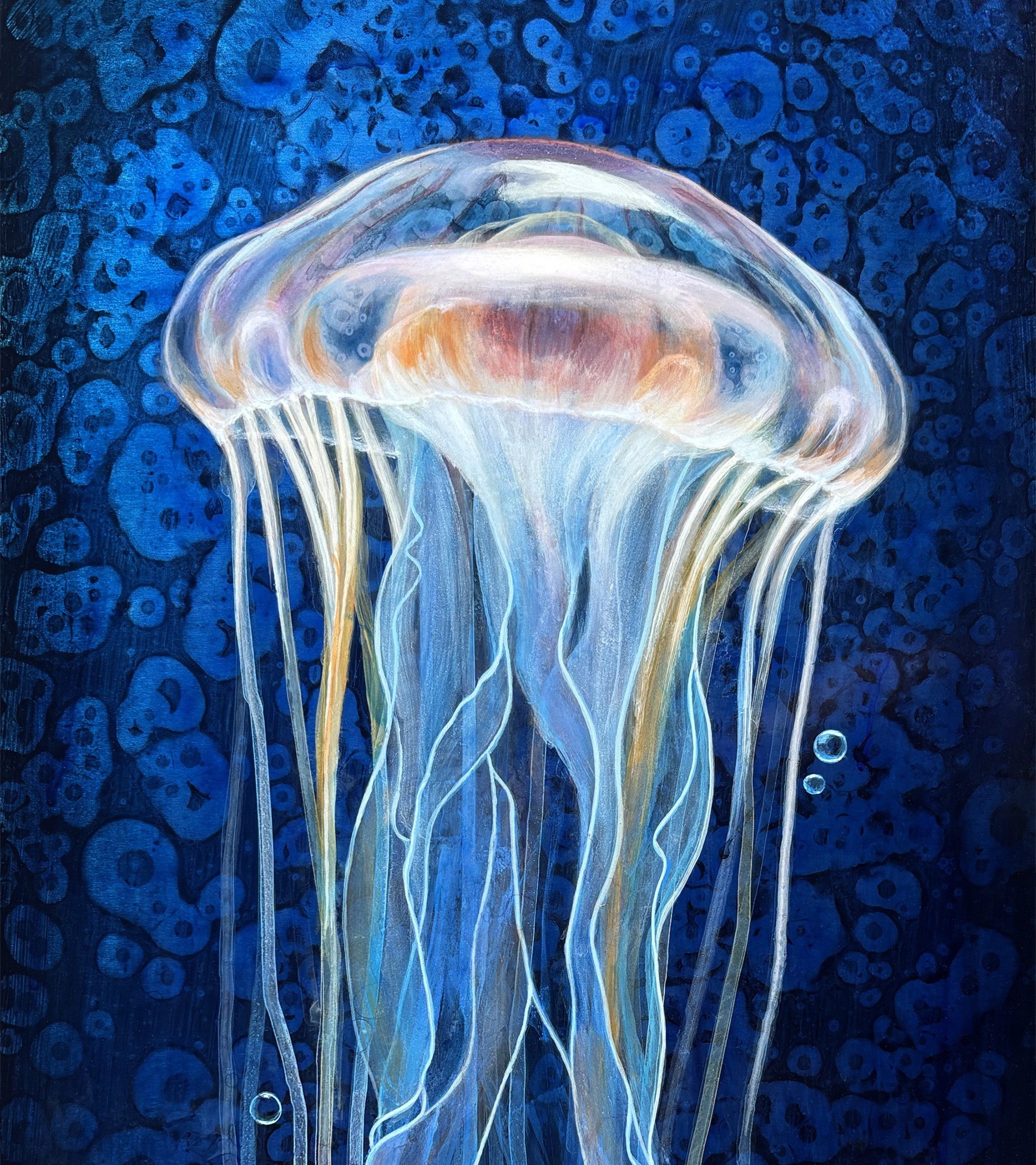 Stellar Sea