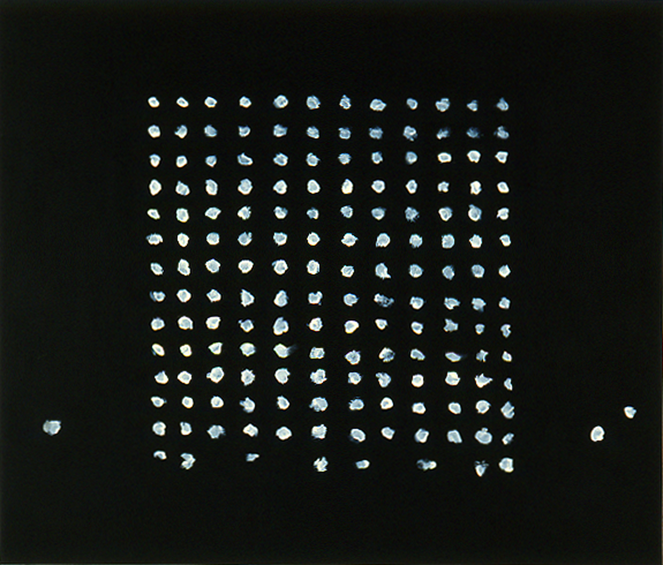Nero di Marte by Marco Neri, 2005