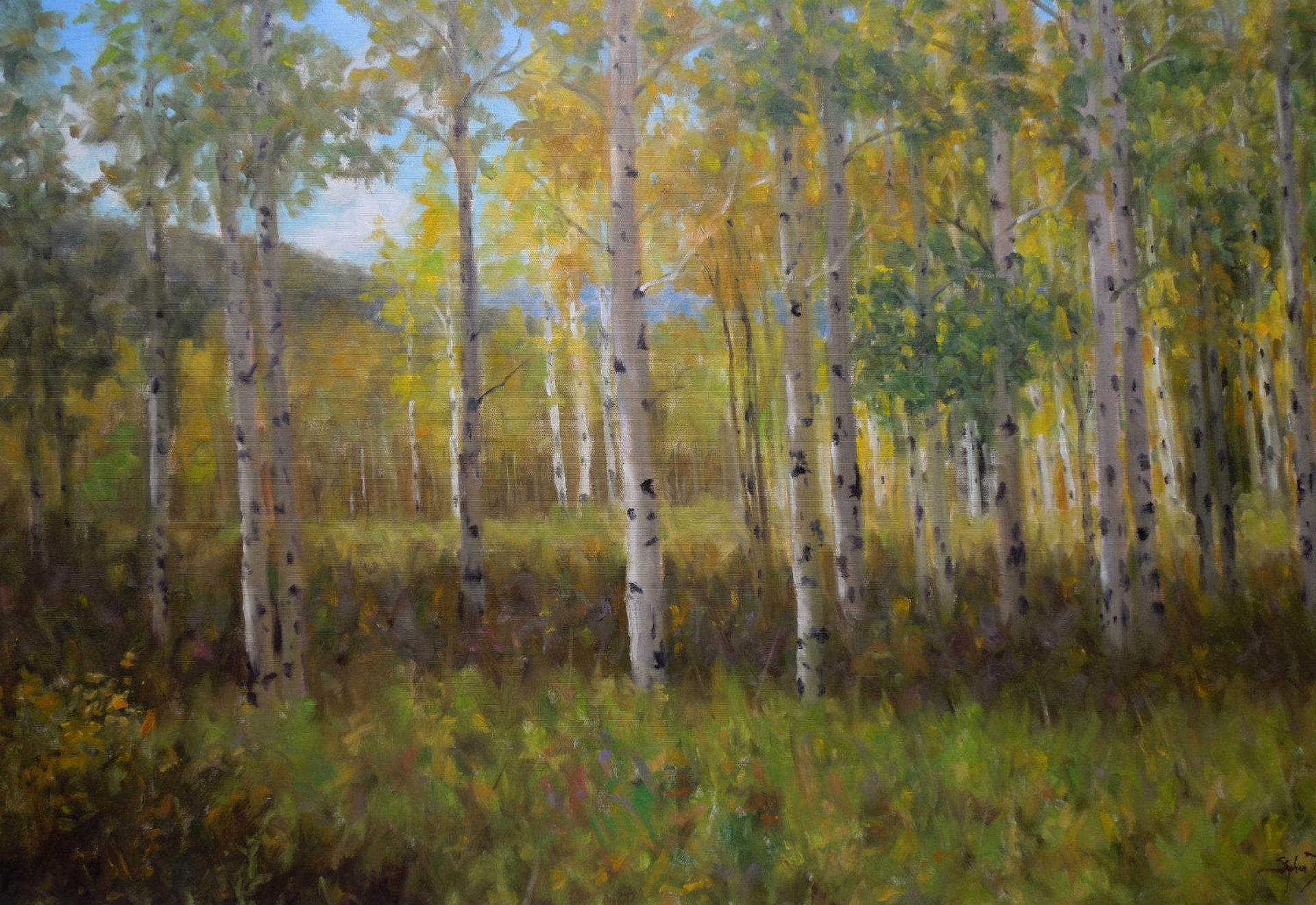 A painting of a grove of aspen trees in the fall.