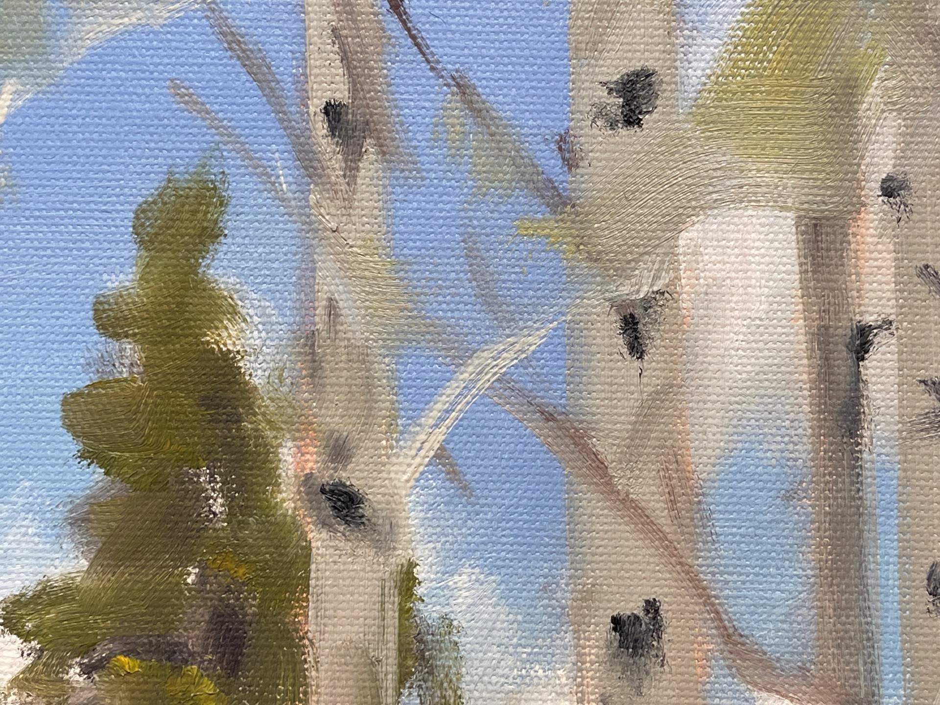 A serene landscape painting of a forest with tall white-barked trees and evergreens under a blue sky.