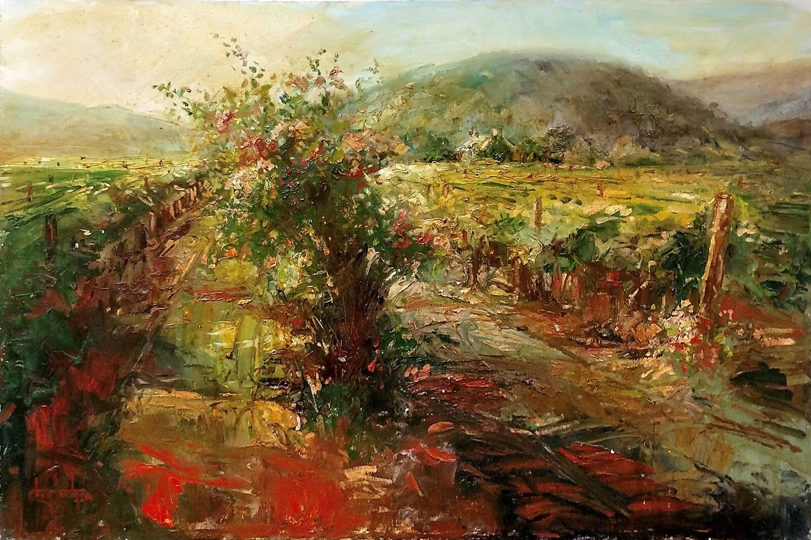 STREAMING LIGHT, YOUNTVILLE NAPA by Stephen Shortridge, null