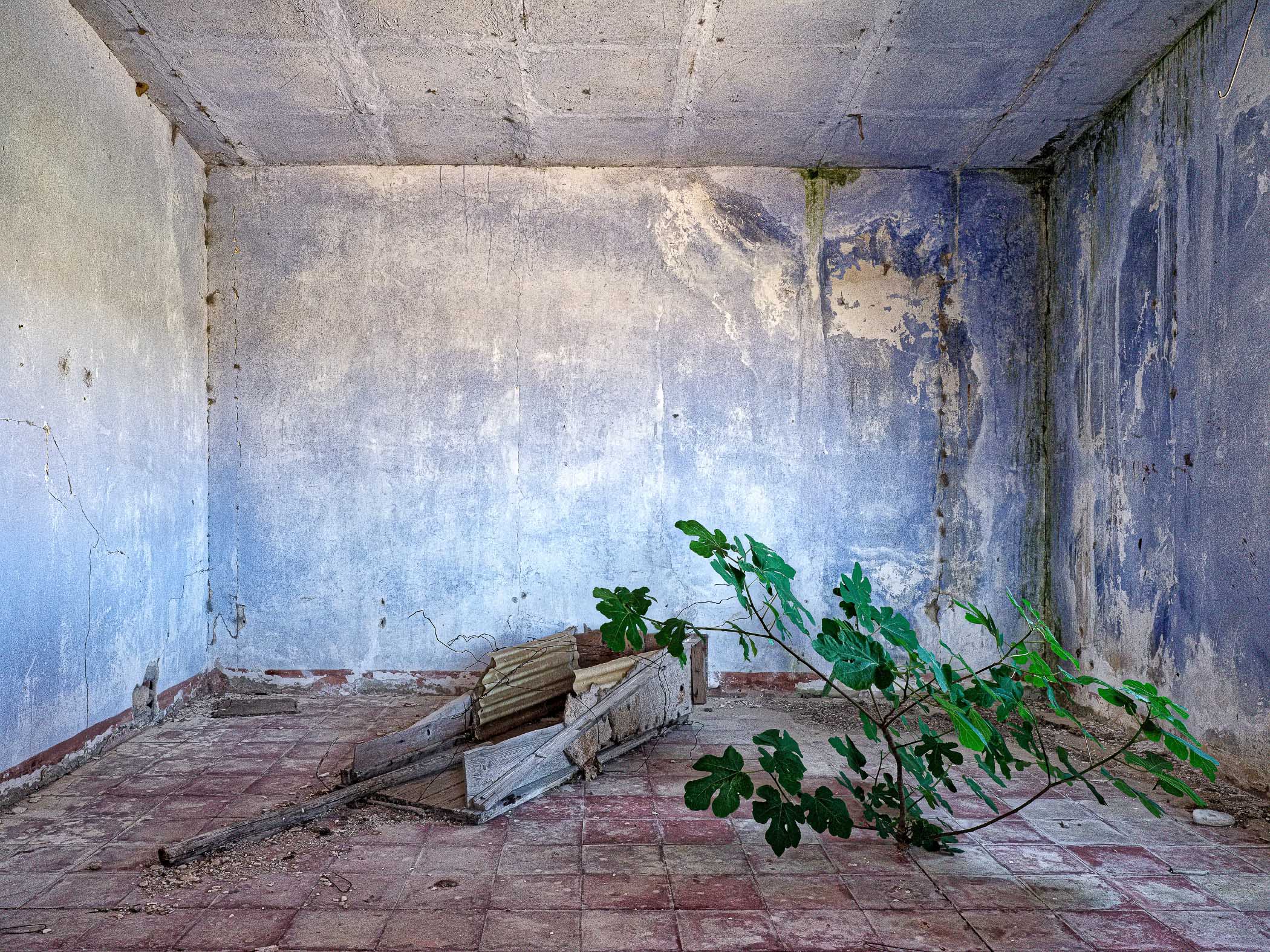 Blue Room with Fig by Steven Seidenberg, 2017