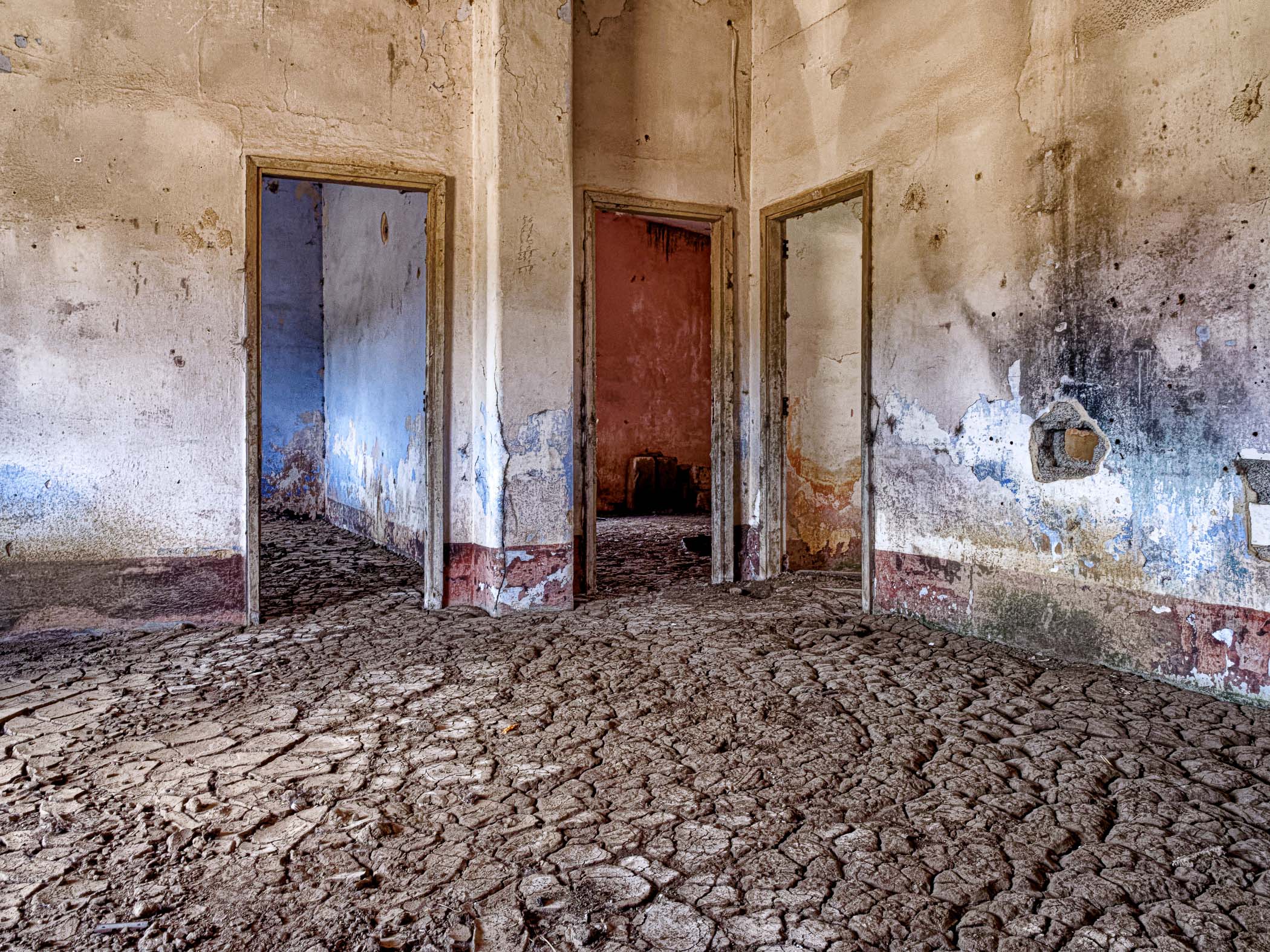 Divina Comedia by Steven Seidenberg, 2017