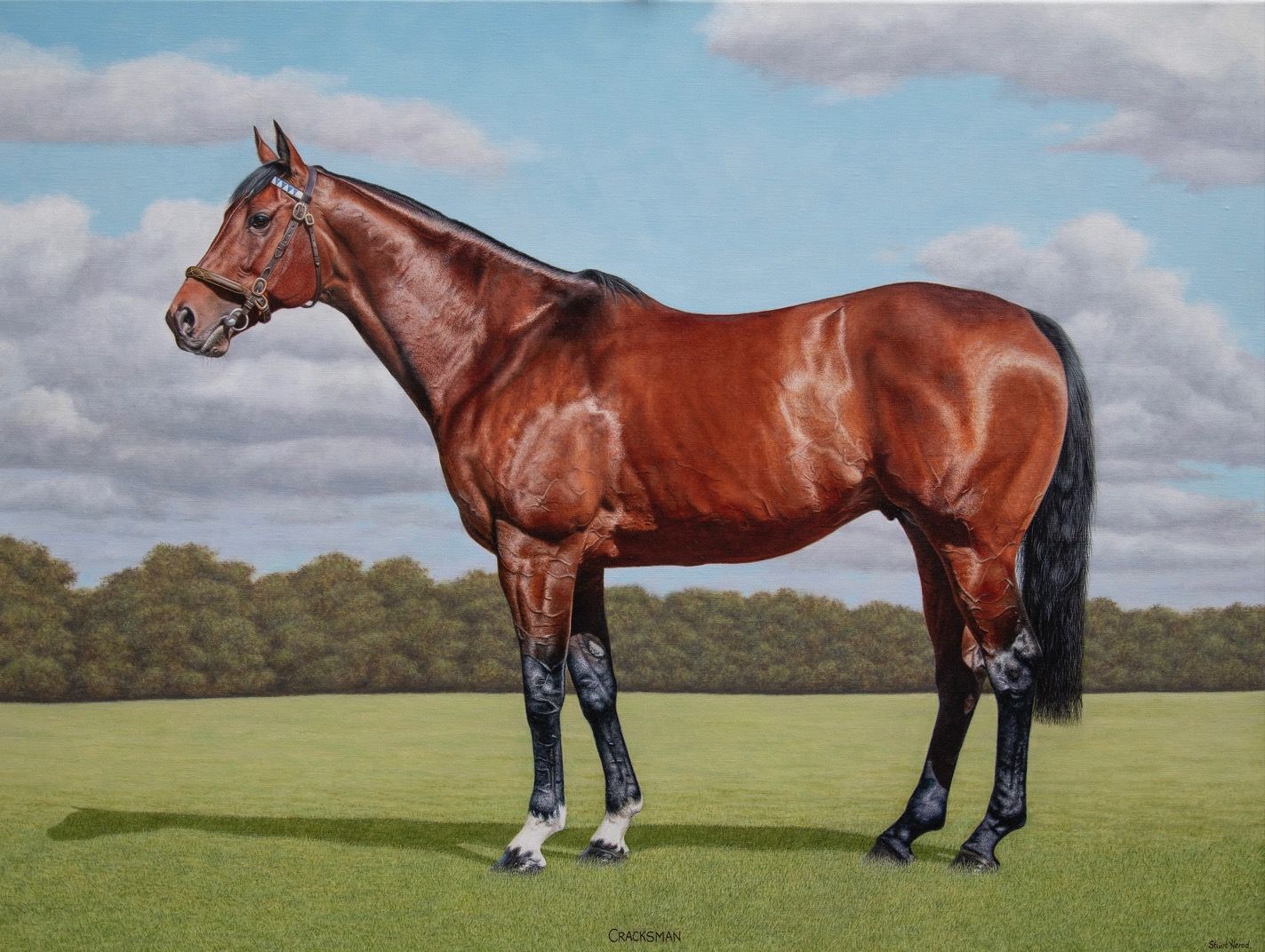 Cracksman Portrait by Stuart Herod, null