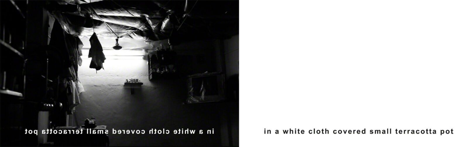 in a white cloth covered small terracotta pot