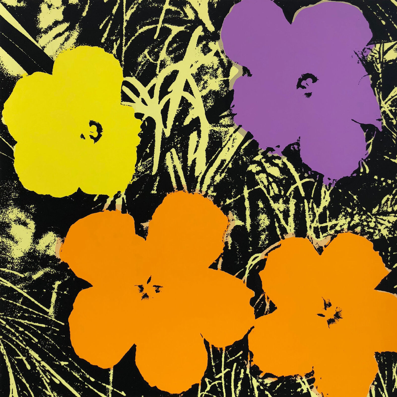 A group of colorful flowers on a black background.
