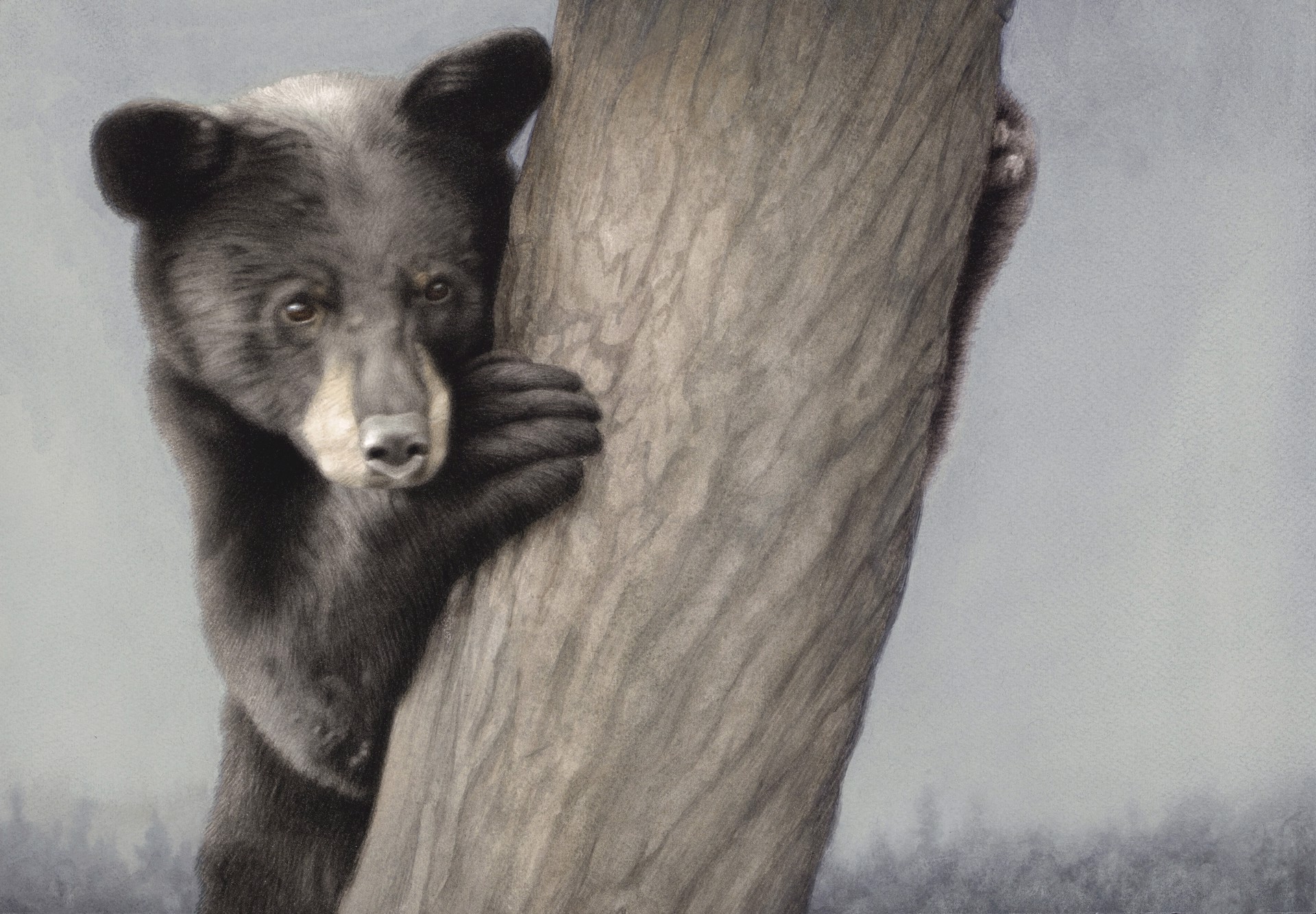Yearling Black Bear by Susana McDonnell, 2021