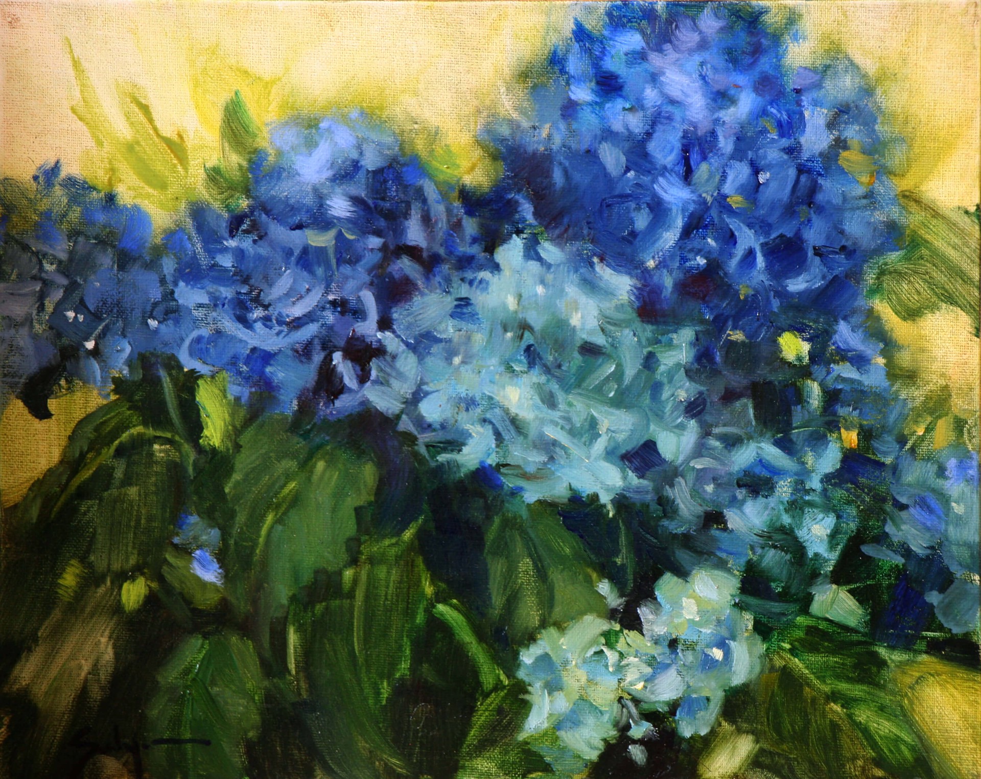 Blue Hydrangeas by Susie  Hyer, 2025